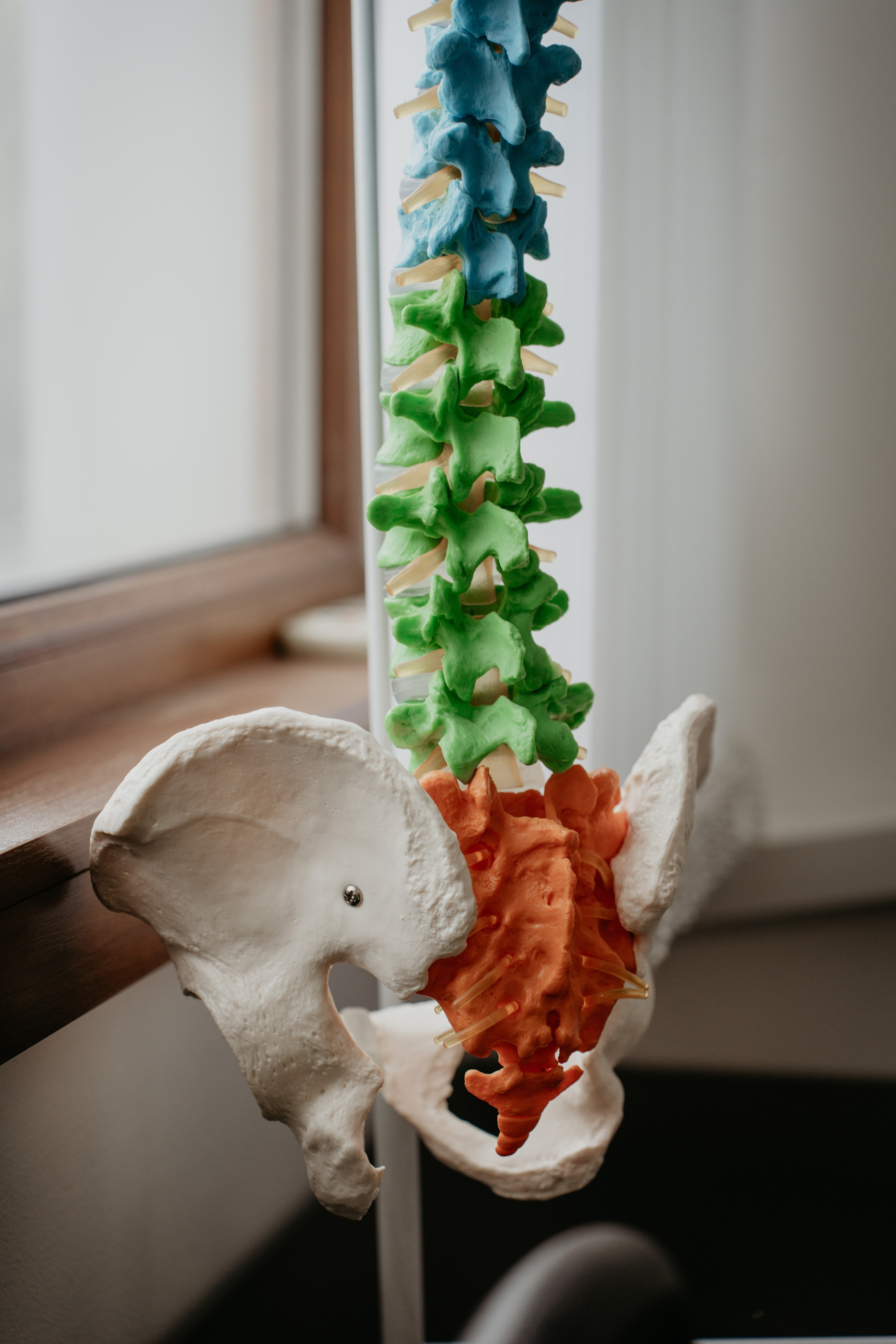 Кабинет кинезиотерапии. Фотограф и Видеограф Севастополь Крым