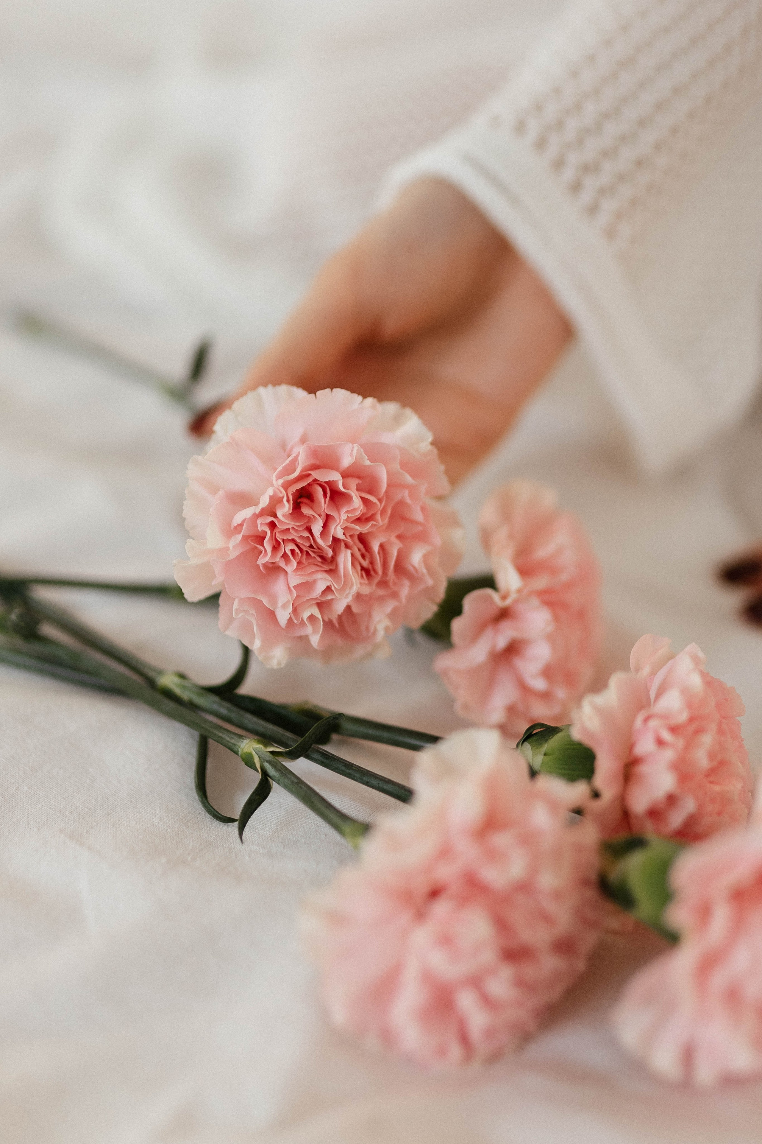 Яна. Фотограф Оля Климова, обучение фотографов