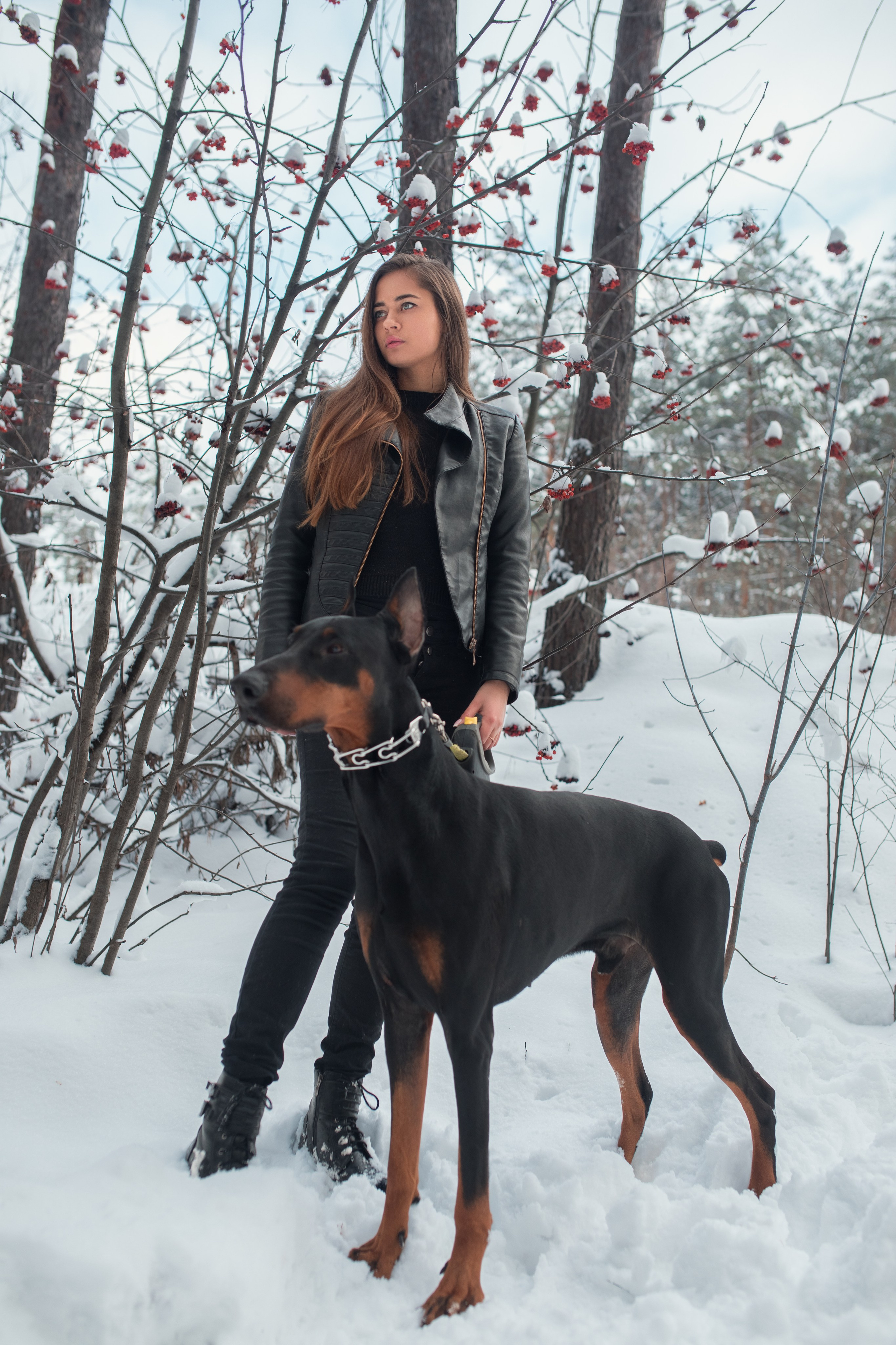 Зимняя съемка в лесу с доберманом с Ольгой в формате для «себя»
