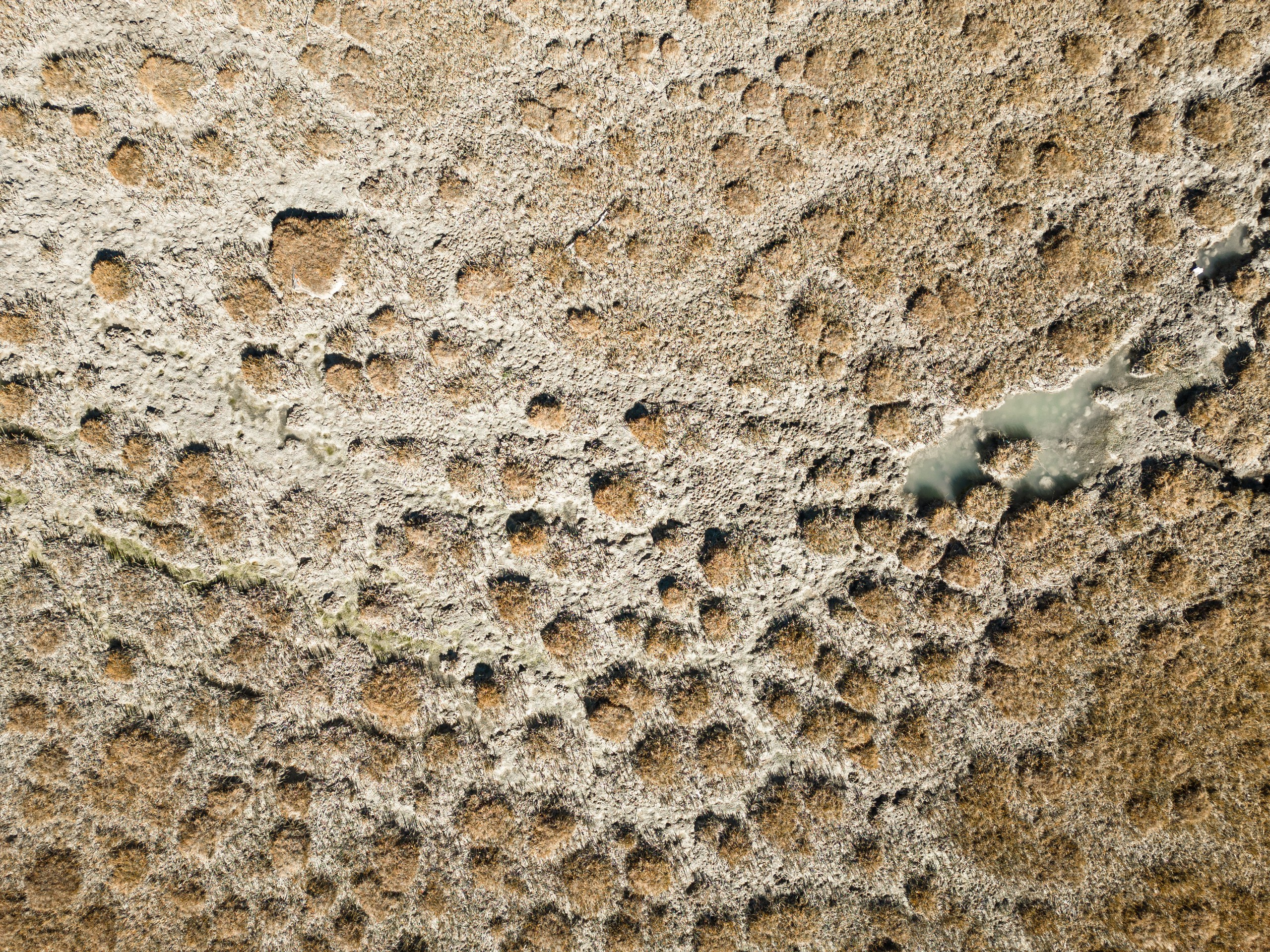 Монголия. Фотограф в Красноярске Нерозя Александр. Пейзаж, природа, портрет