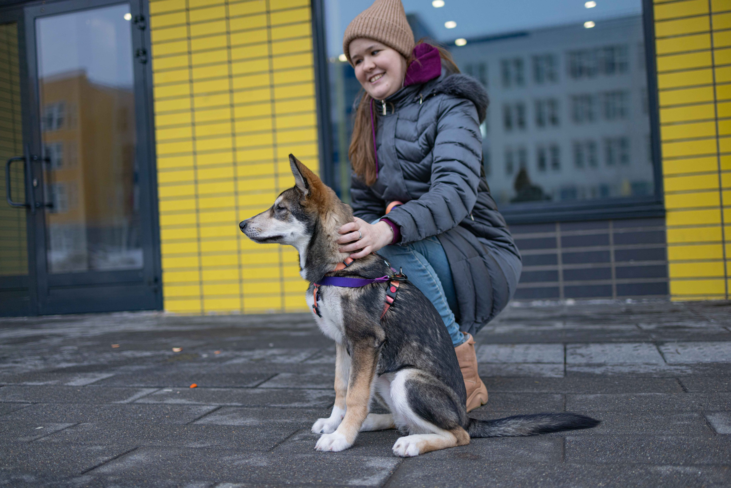 Шами. Фотограф-анималист в Москве Лера Черноног