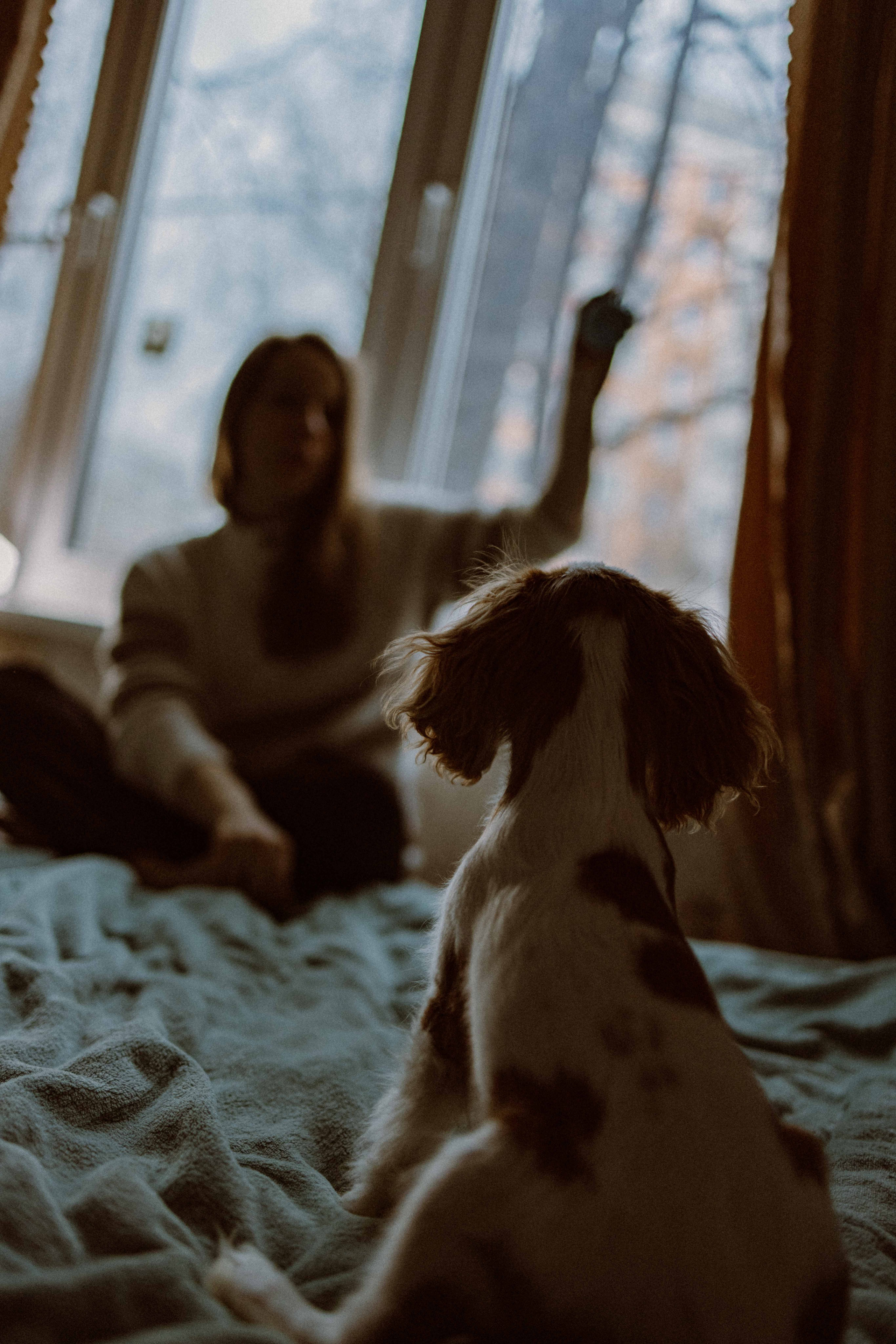 Юля и Кипр. Фотограф-анималист в Москве Лера Черноног