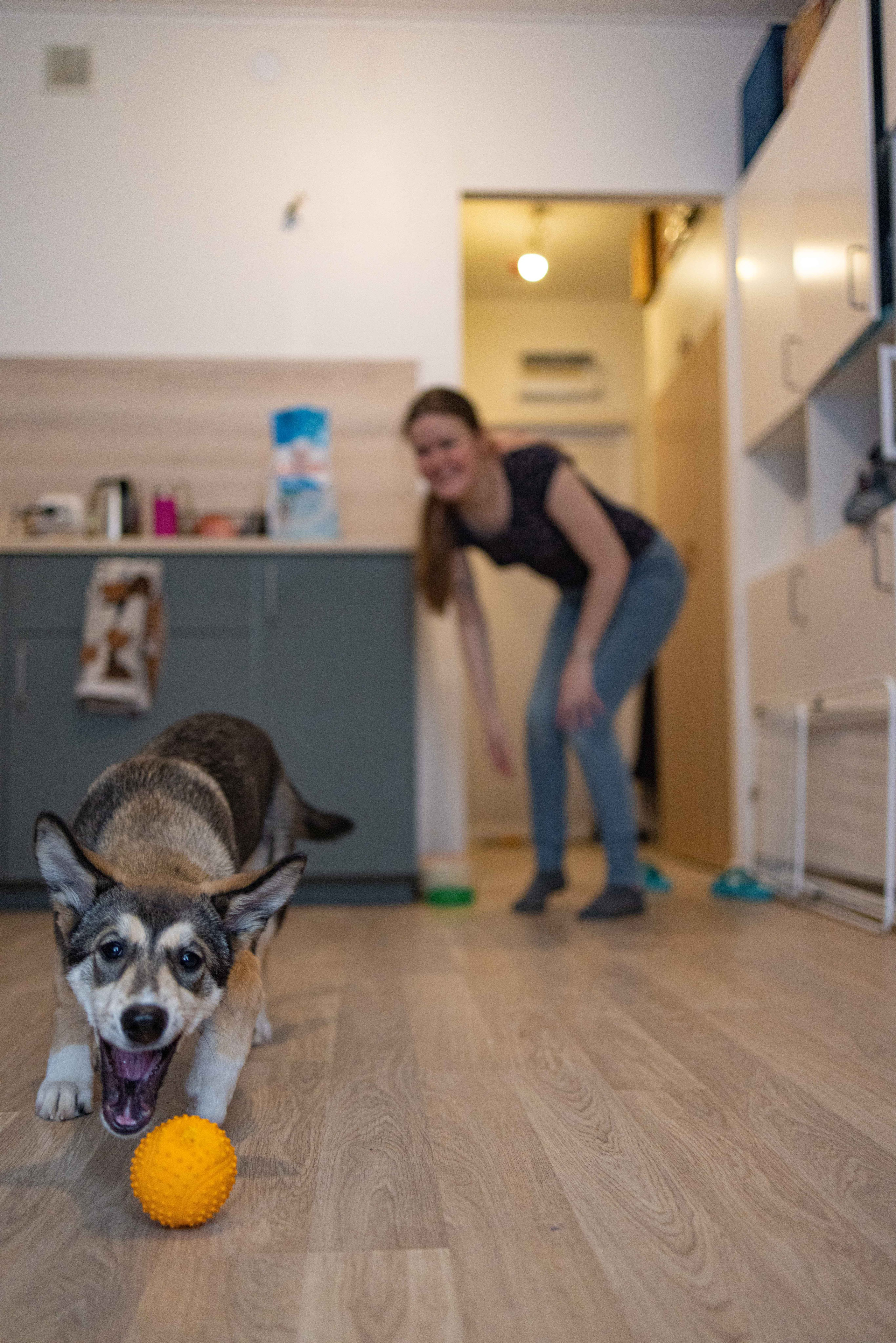 Шами. Фотограф-анималист в Москве Лера Черноног