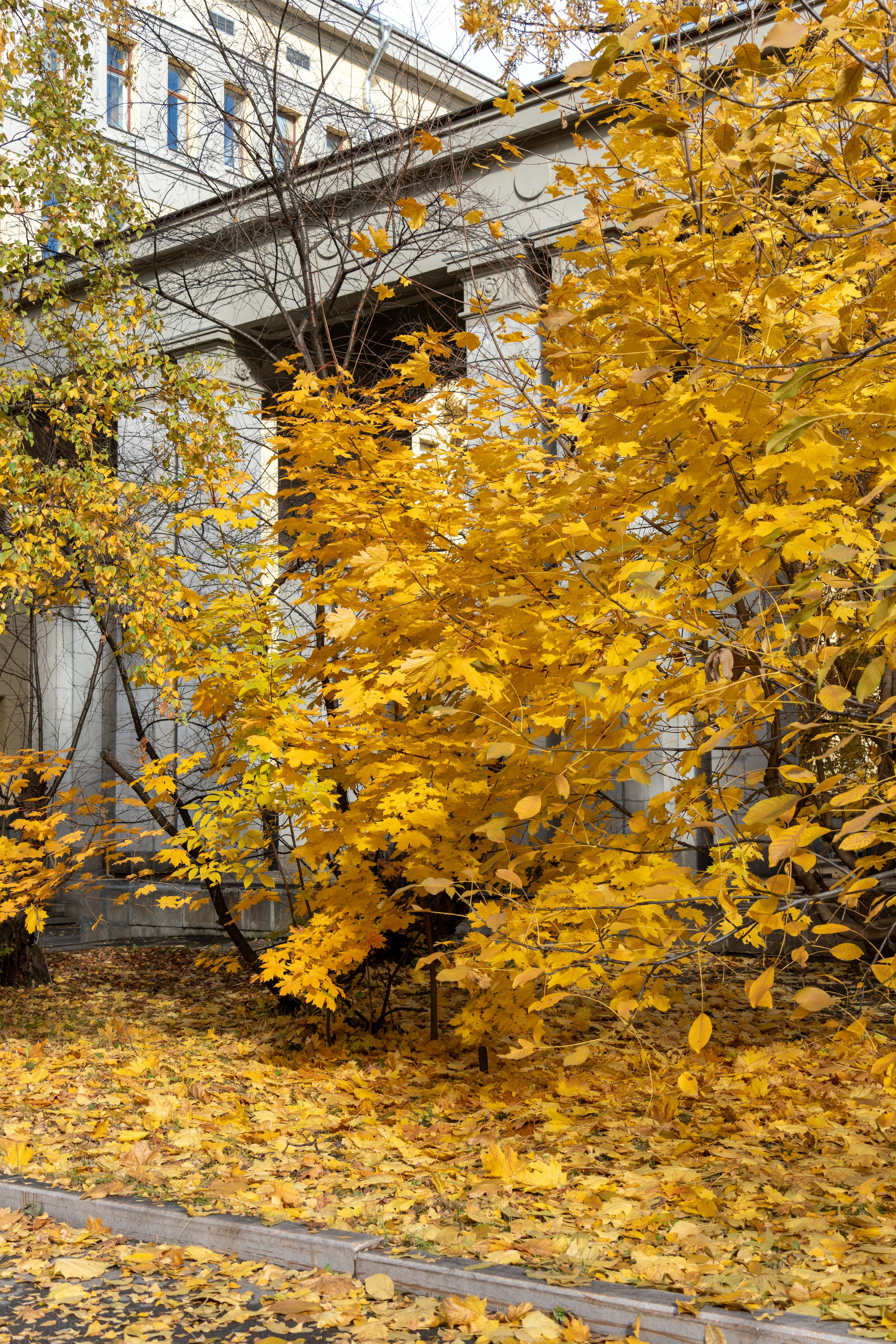 20251012 МГУ. Дмитрий Ремизов. Фотография, как хобби