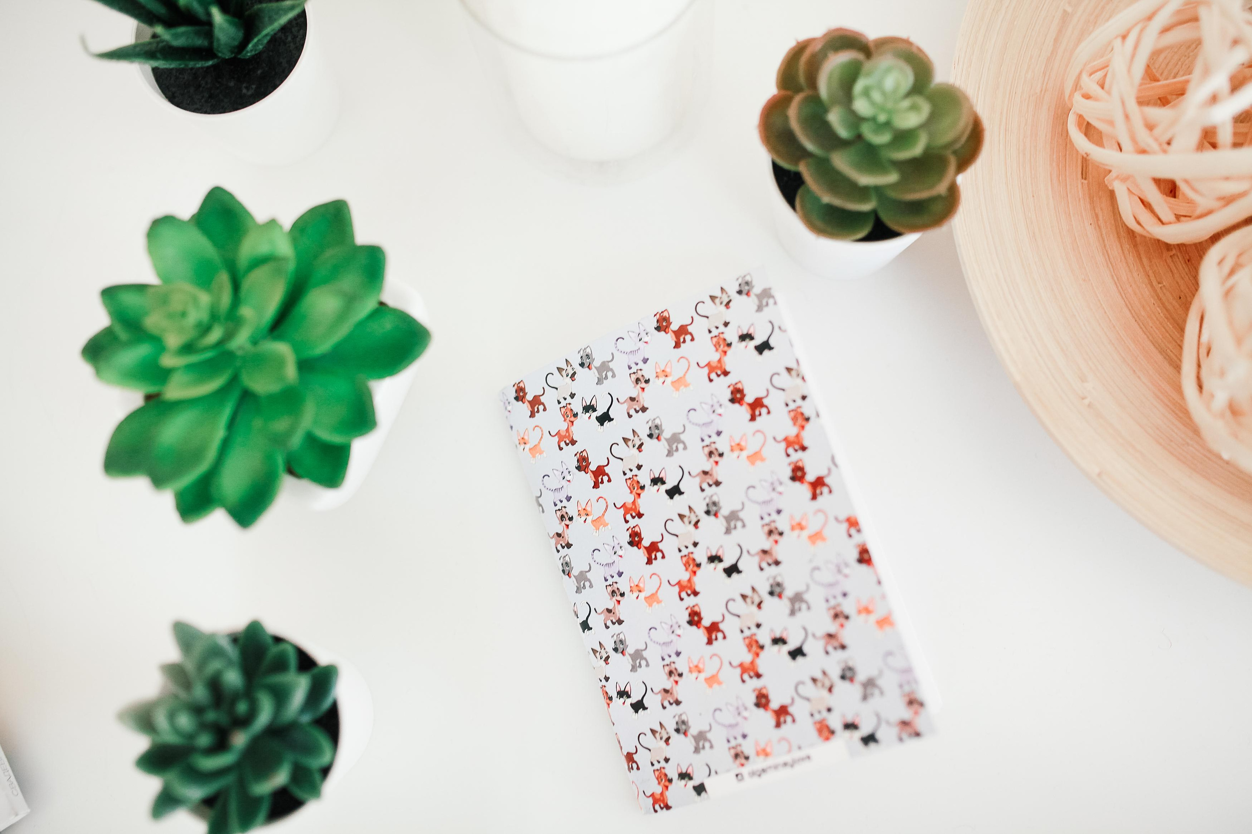 Ольга. Семейный фотограф Толстикова Кристина