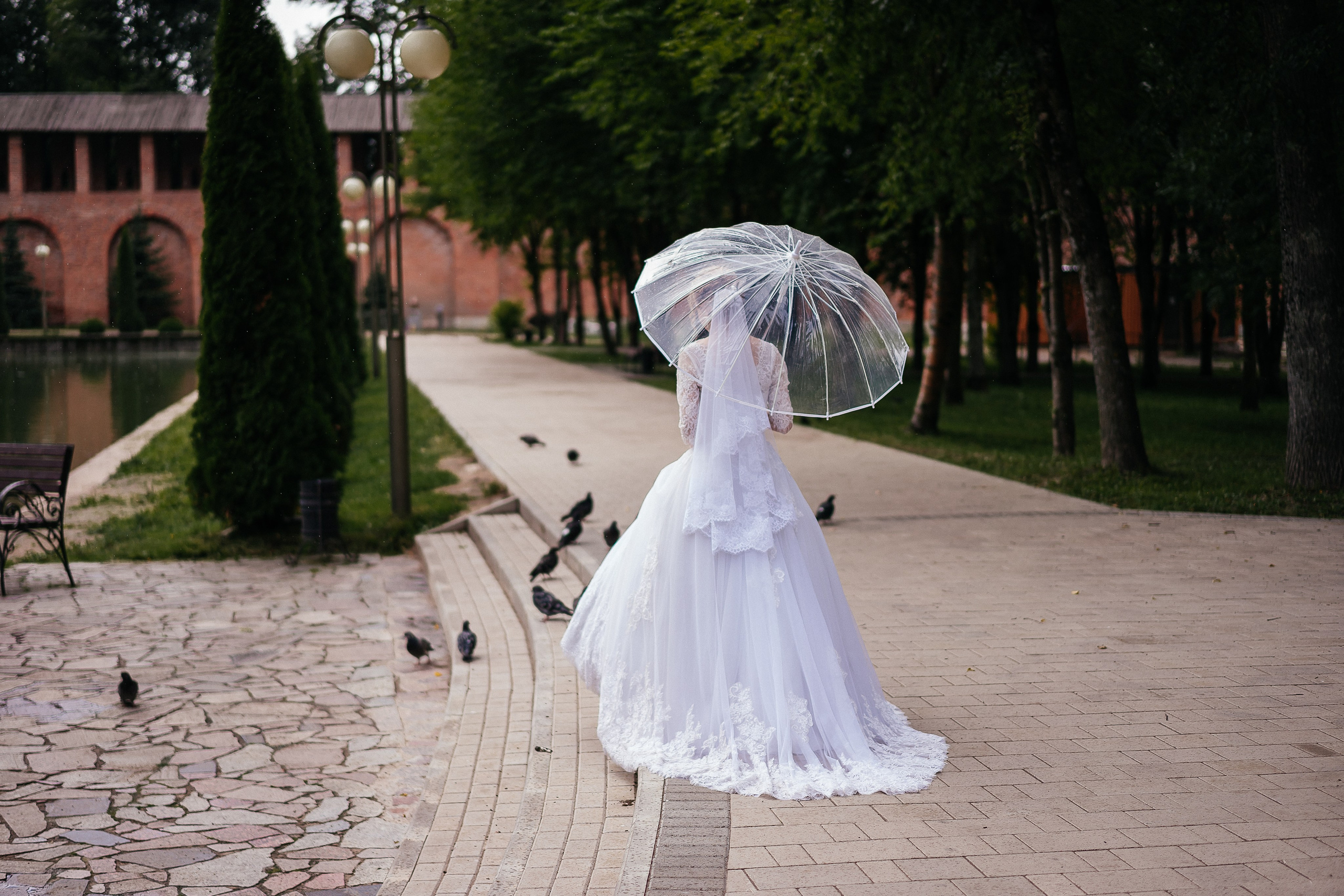 Ксения & Максим | 05.07.2024. Фотограф и видеограф Смоленск | Студия Цезарь