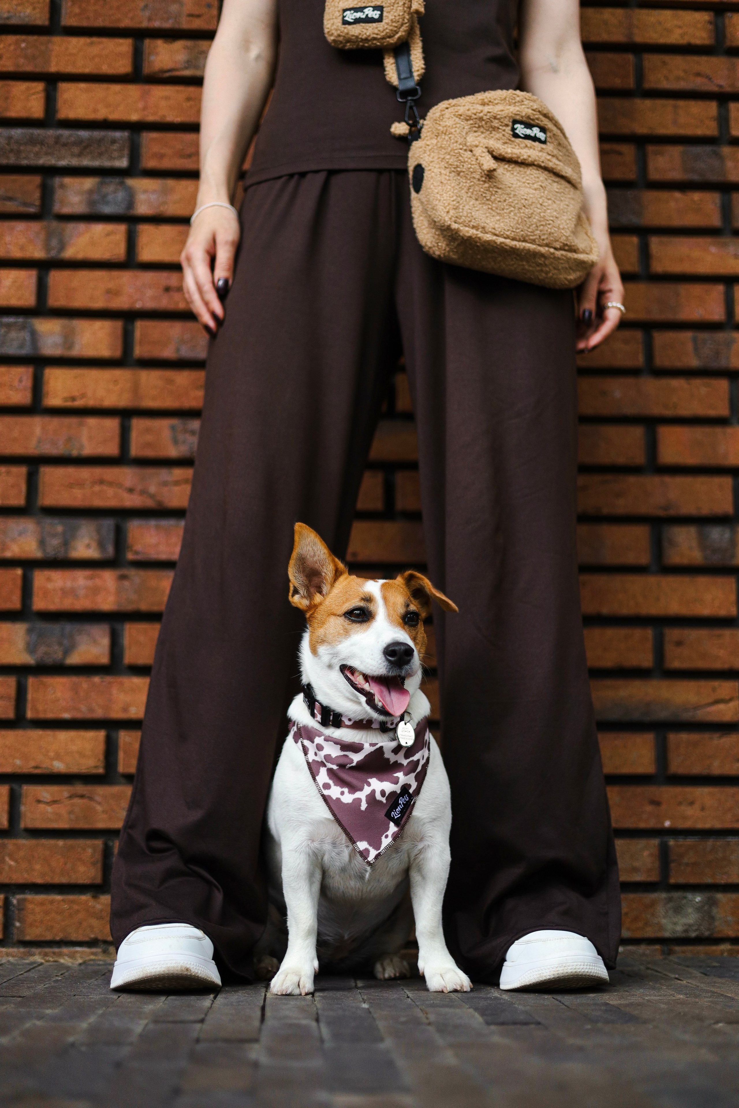 Холли и Катя. Фотограф-анималист Ксения Шевцова|Москва