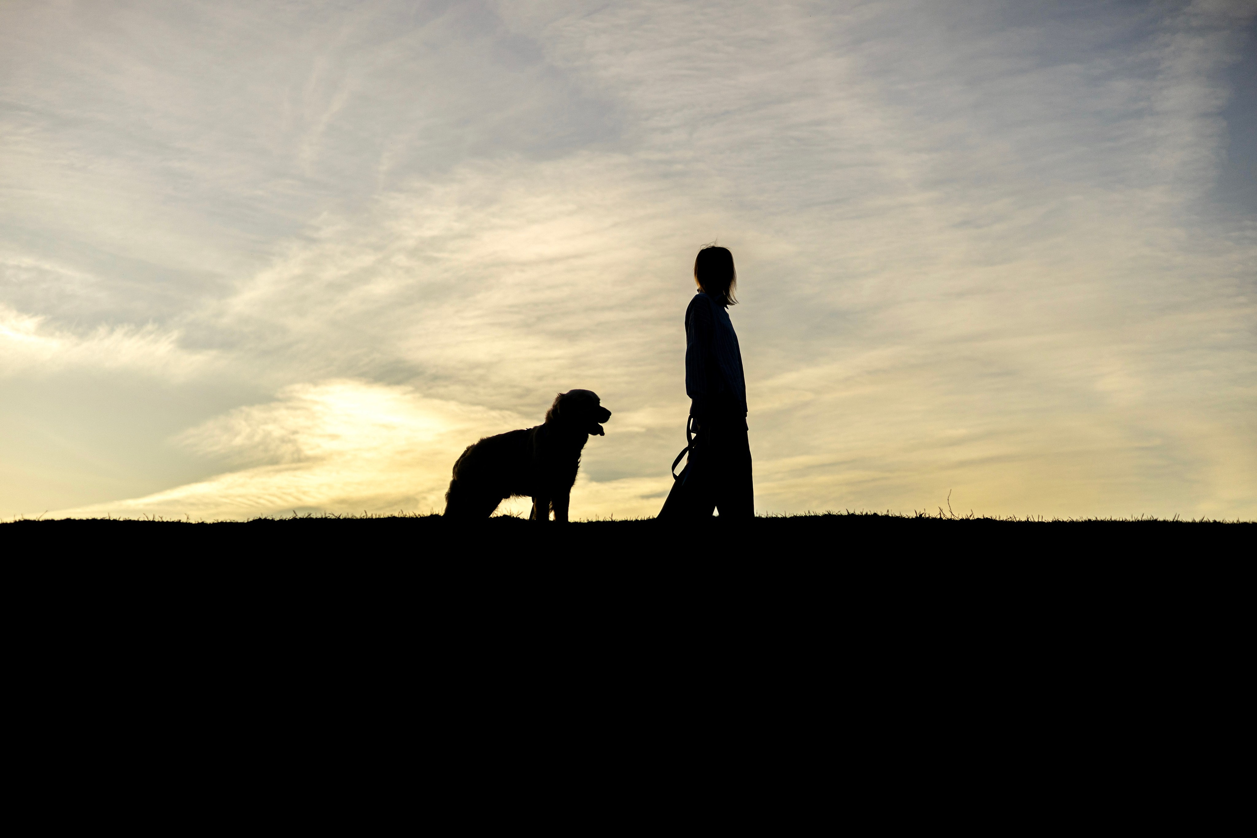Зиз и Юля. Часть 2. Фотограф-анималист Ксения Шевцова|Москва