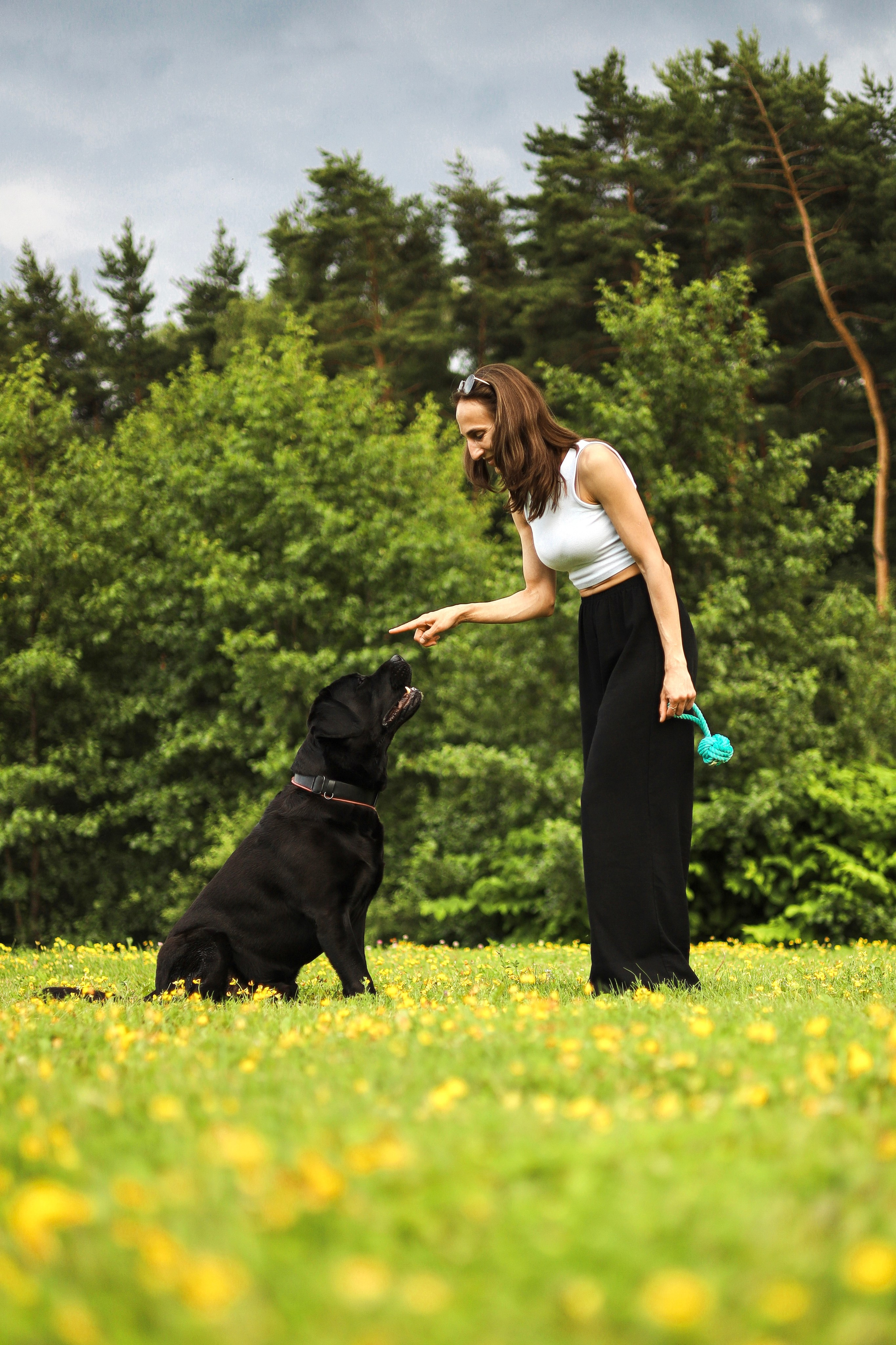 Найт и Соня. Фотограф-анималист Ксения Шевцова|Москва