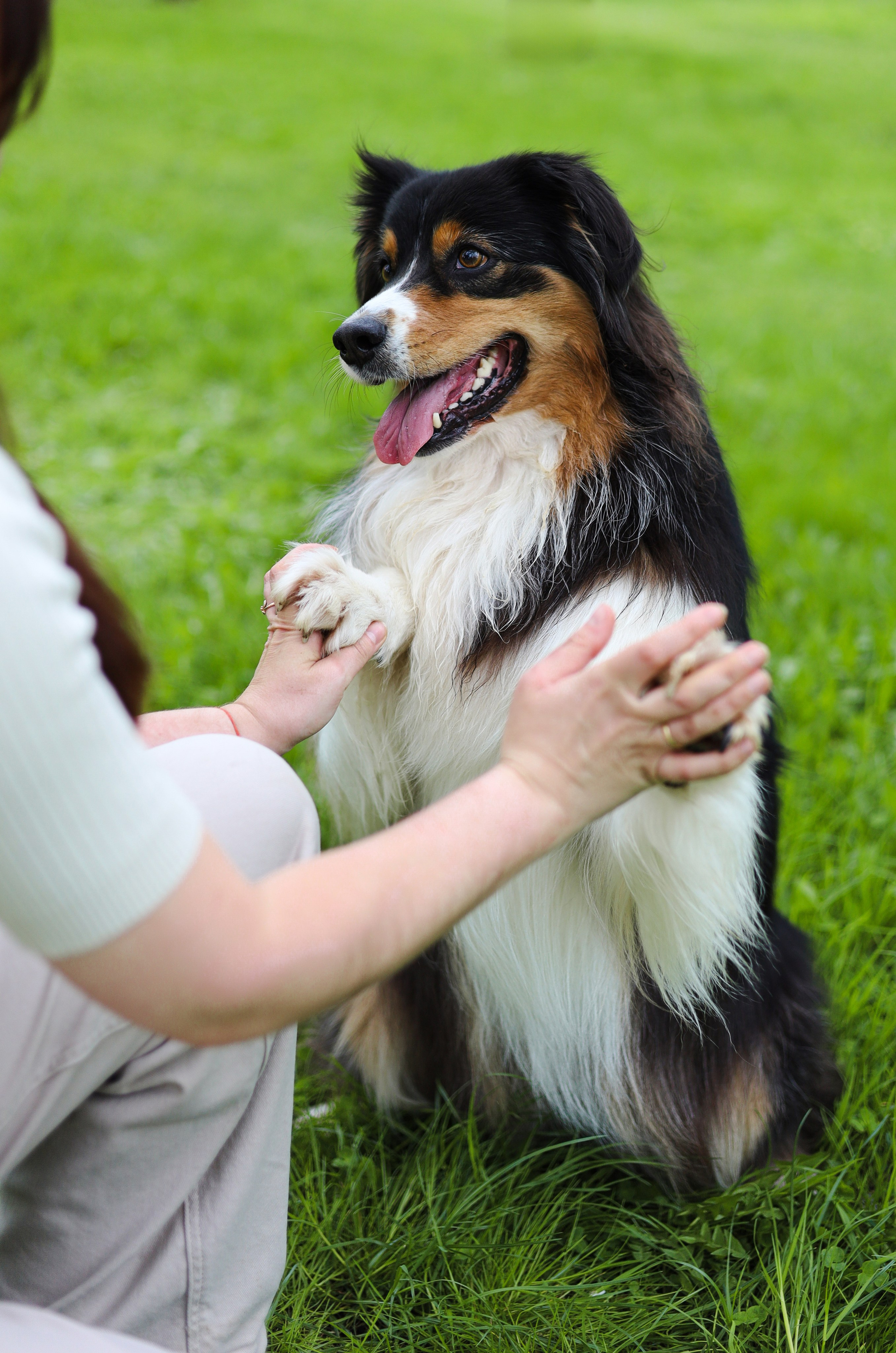 Келли и Света. Фотограф-анималист Ксения Шевцова|Москва