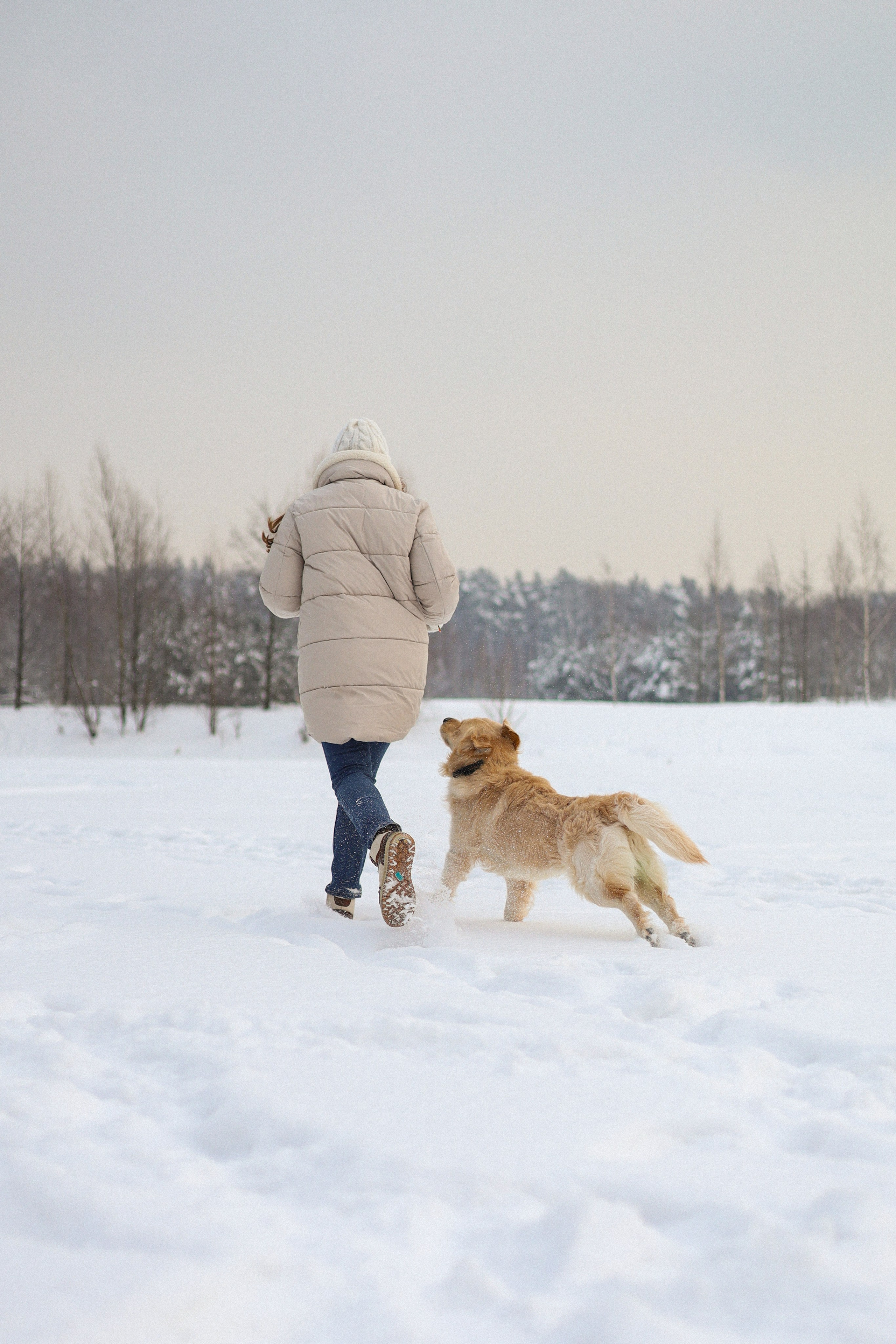 Стивен, Лена и Миша. Фотограф-анималист Ксения Шевцова|Москва