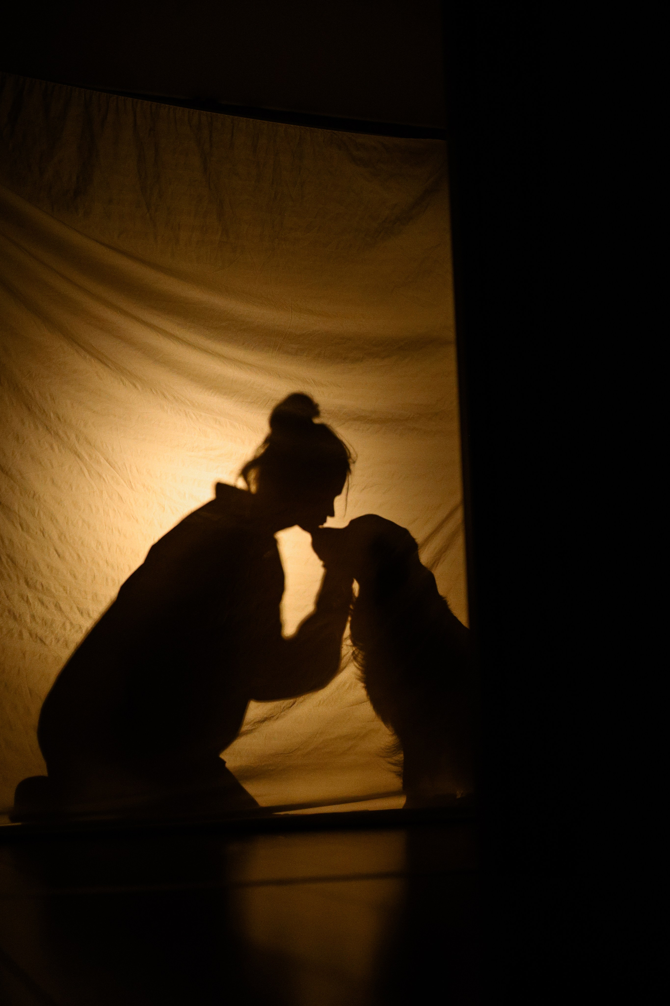 Зиз и Юля. Новогодняя. Фотограф-анималист Ксения Шевцова|Москва