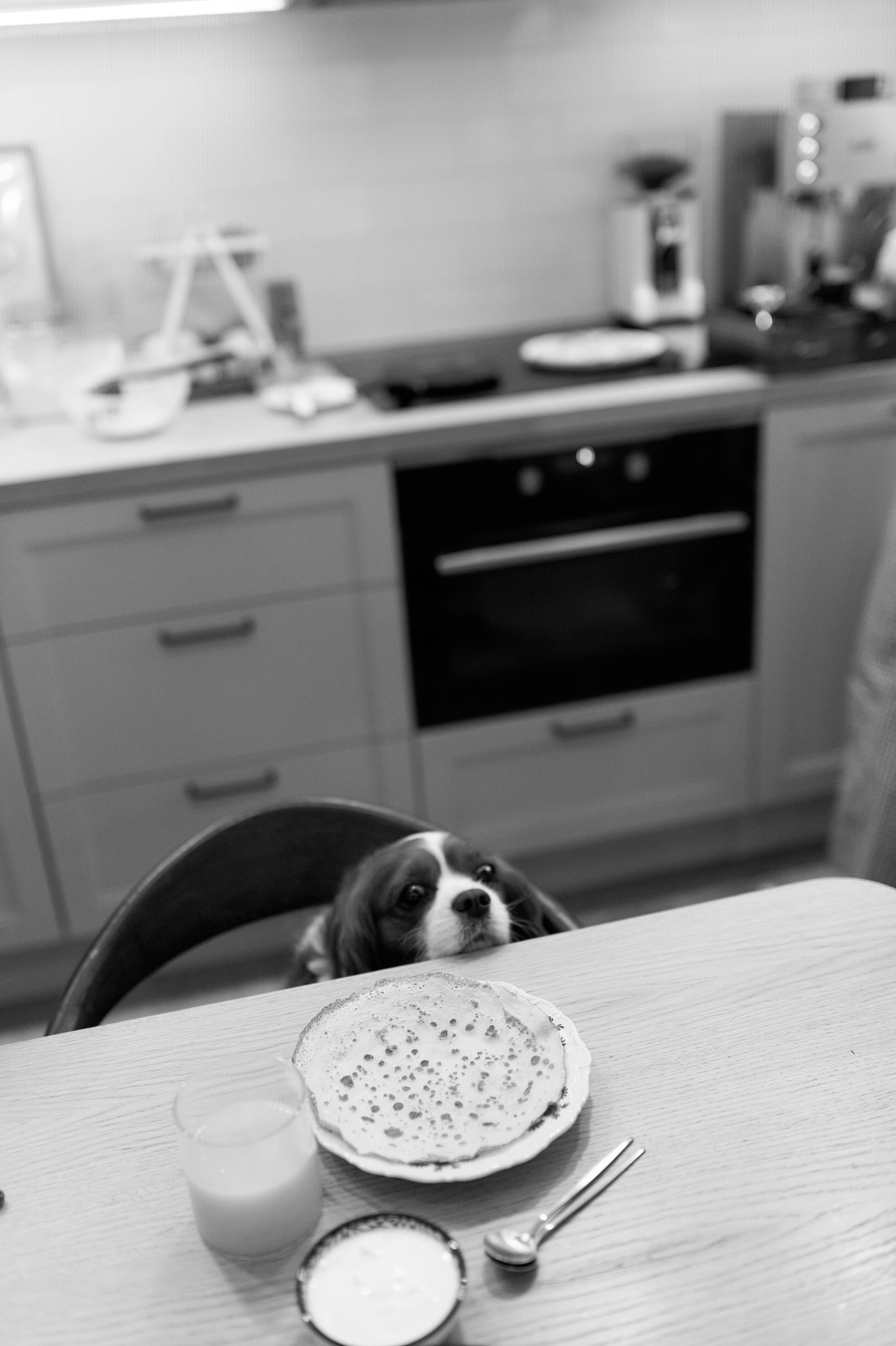 Серёжа, Вика, Макар и Кэш. Семейный и свадебный lifestyle-фотограф в Москве Мария Петрова