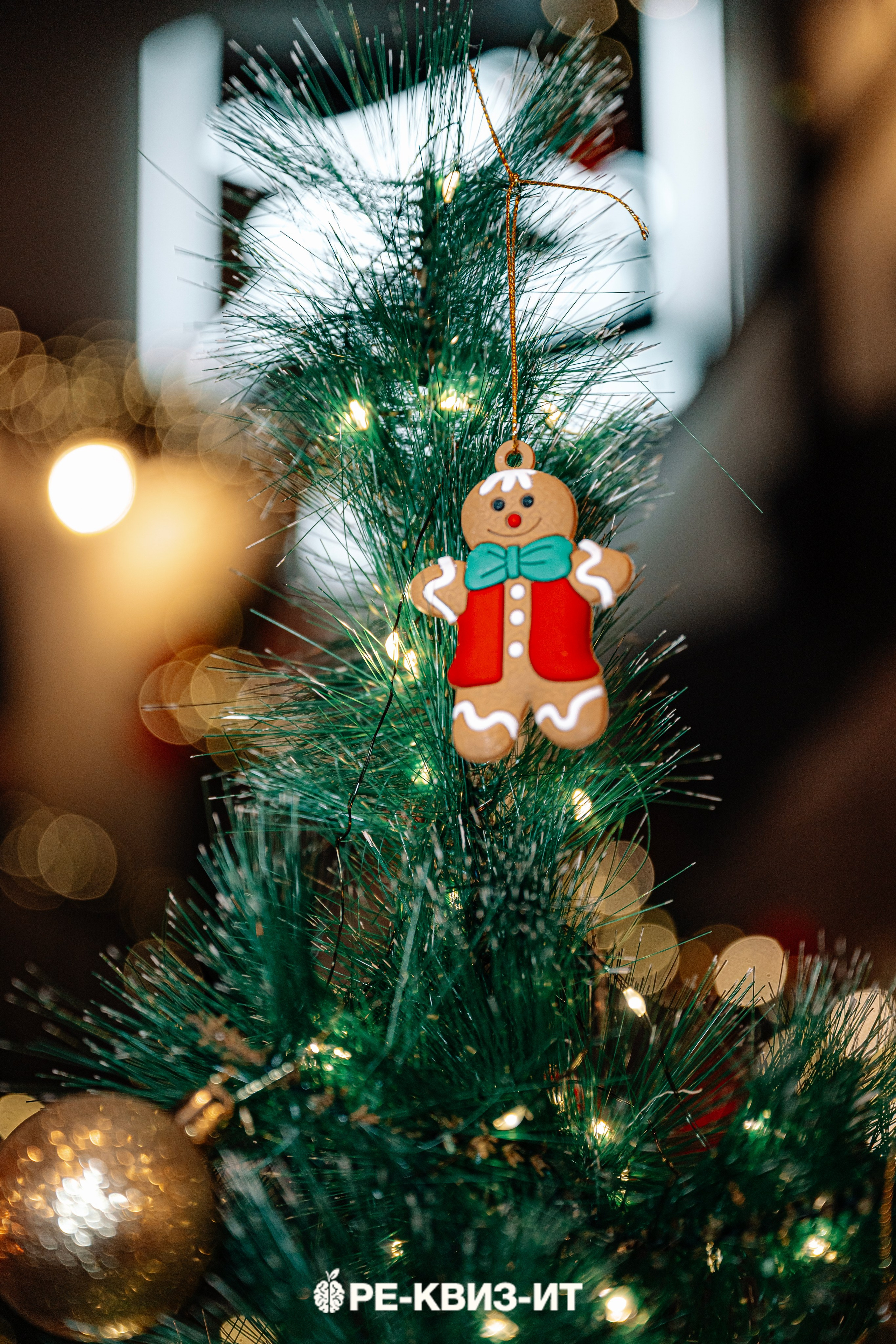 Реквизит — квиз в Зеленодольске и Волжске ZR cafe. Свадебный фотограф в Казани, и Зеленодольске Радик Мухаметов