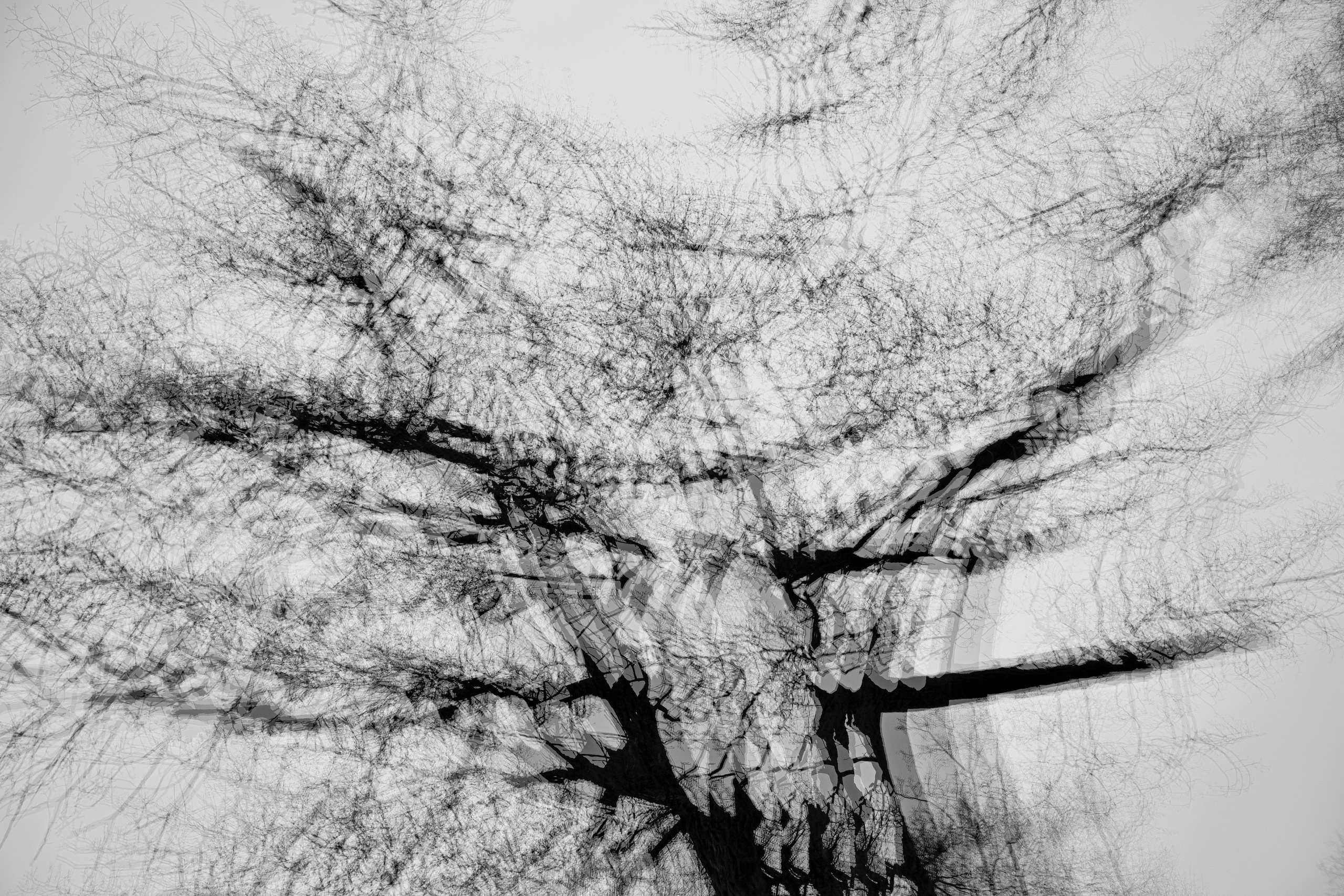 Abstraction. Dimitri Bakhtadze photographer