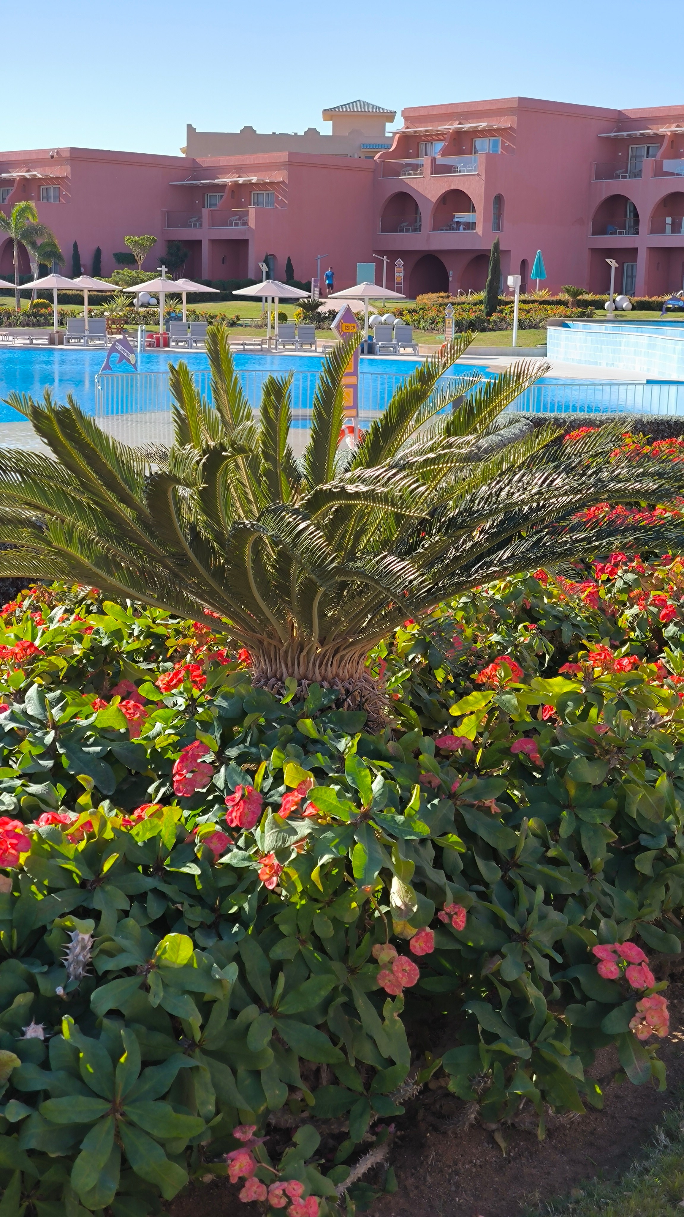 Шарм-Эль-Шейх. Светлана Иванова - профессиональный фотограф