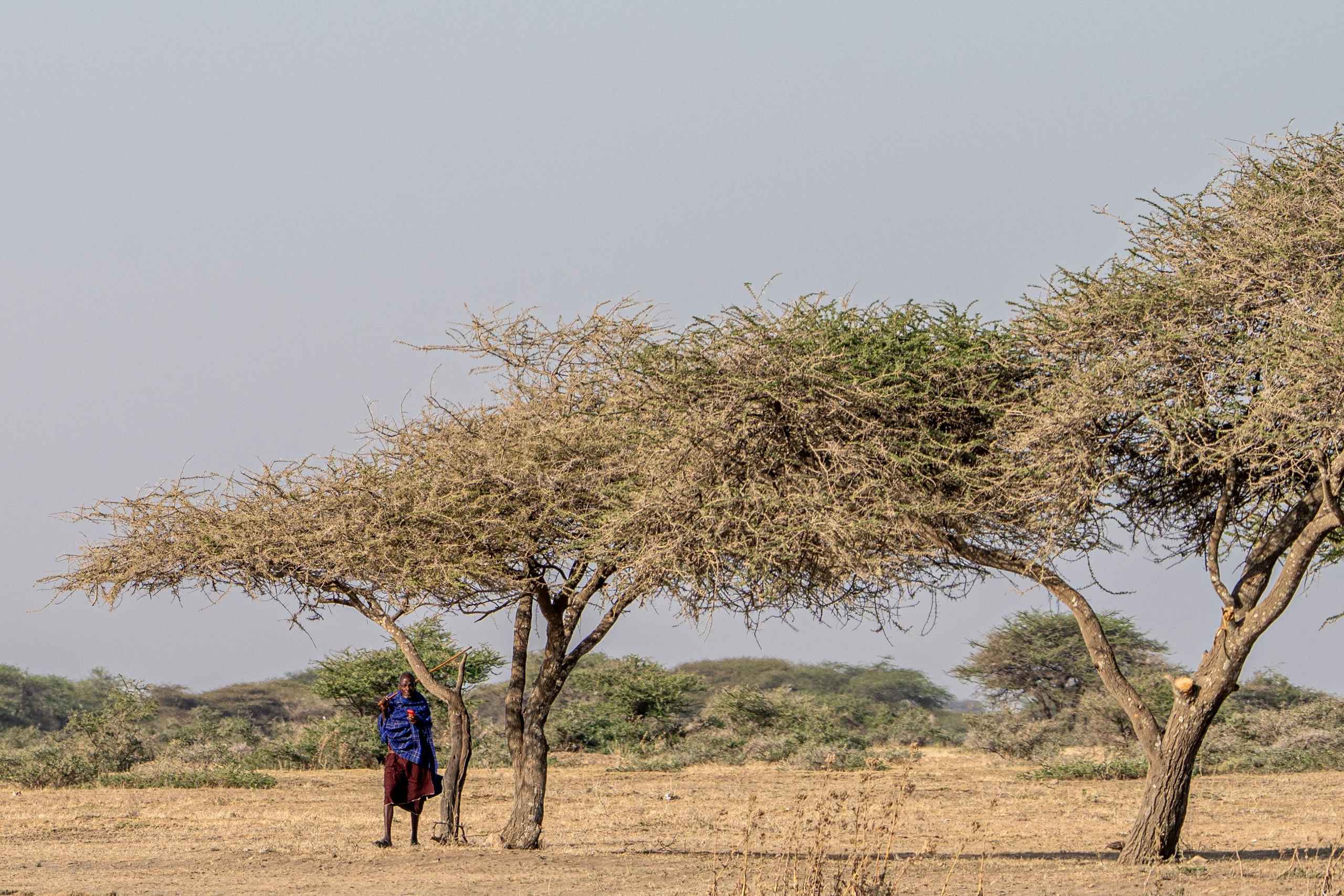 Танзания, сафари, 2025. Творческие сьемки
