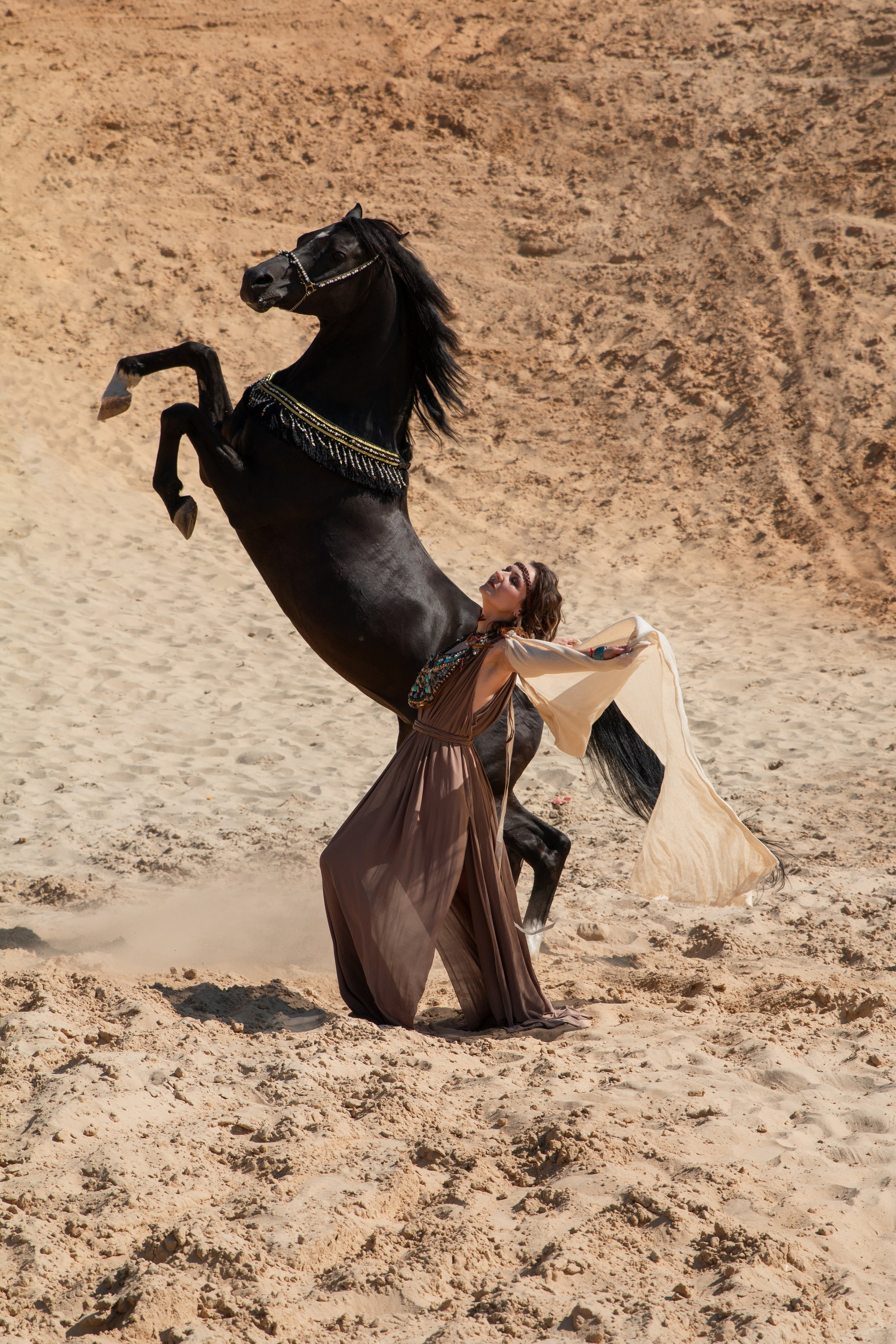 Фотосессии с лошадьми в Москве и Московской области. Конный фотограф Алеся Нечаева