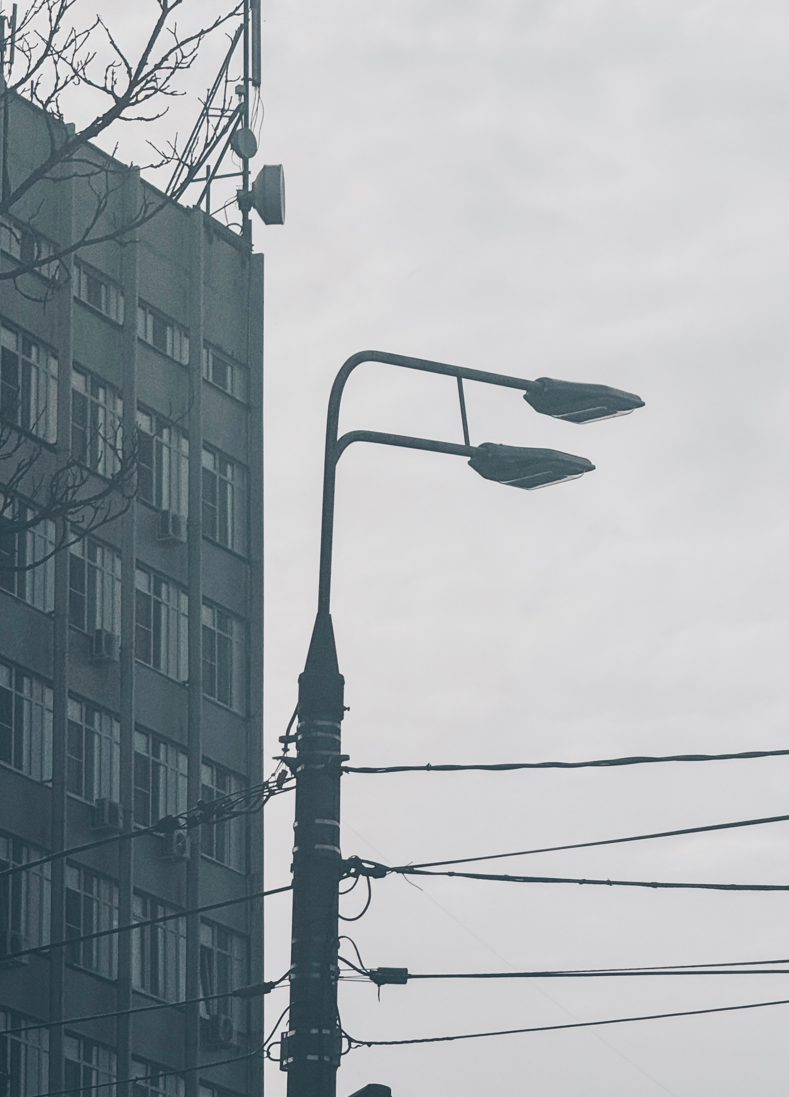 Уличный. Фотограф Арсений Королев