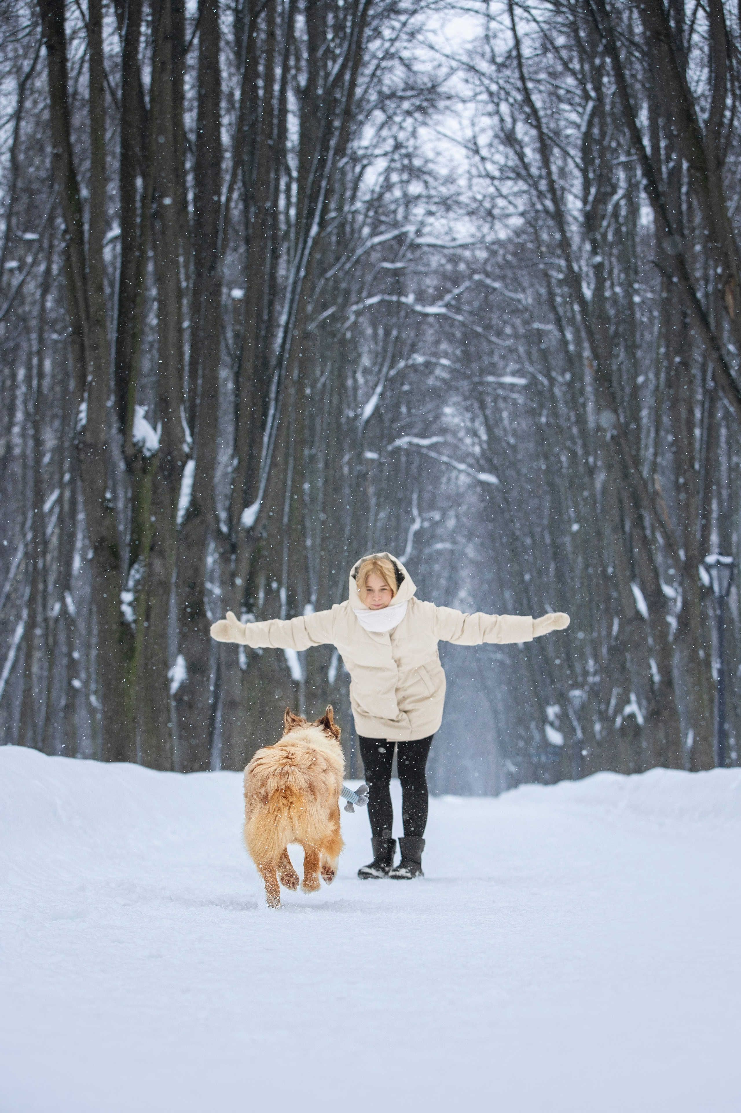 Настя, Игорь, Тесс и Марс. Фотограф анималист в Москве Майорова Евгения