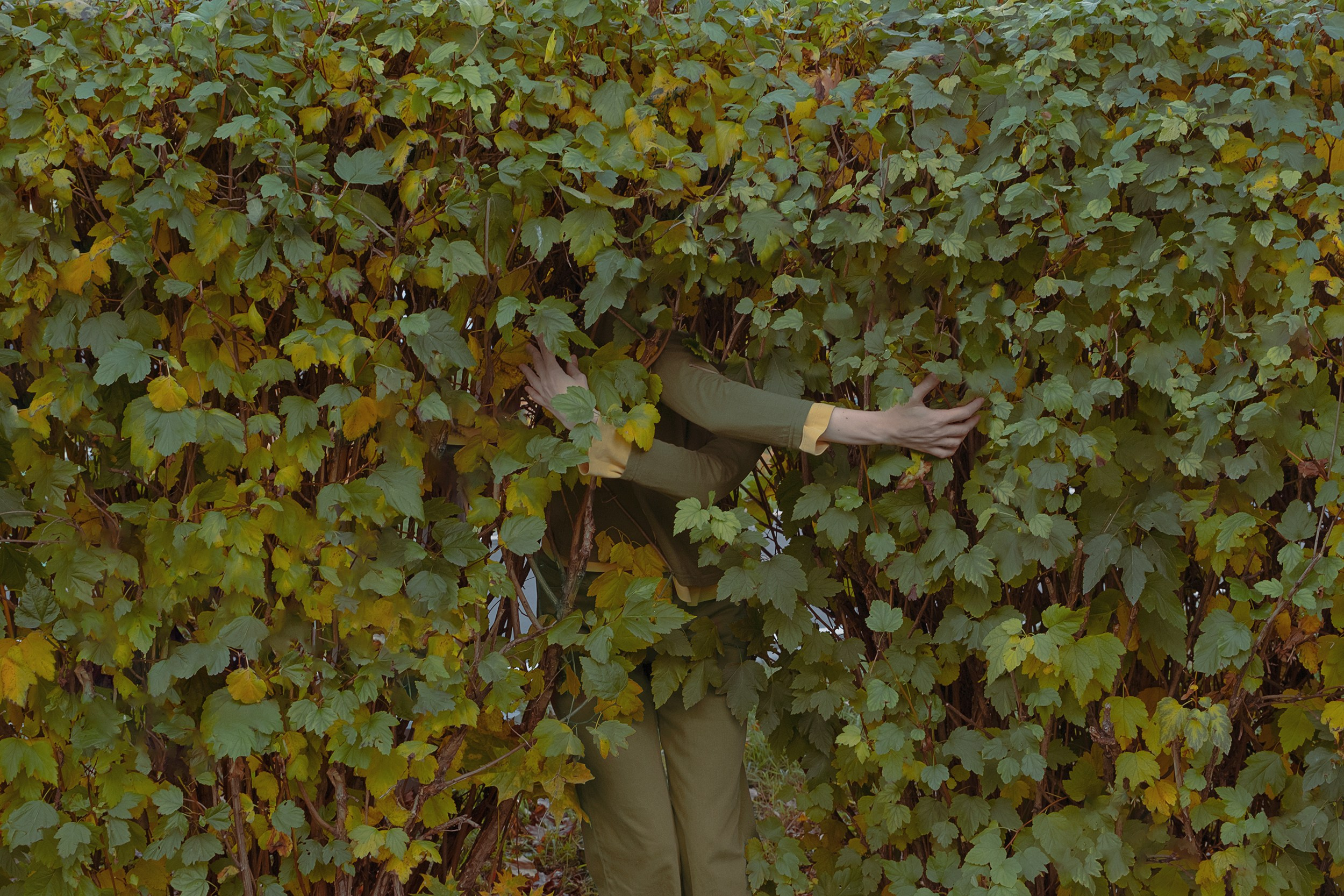 Арт-портрет. Портретный фотограф Настя Богданова