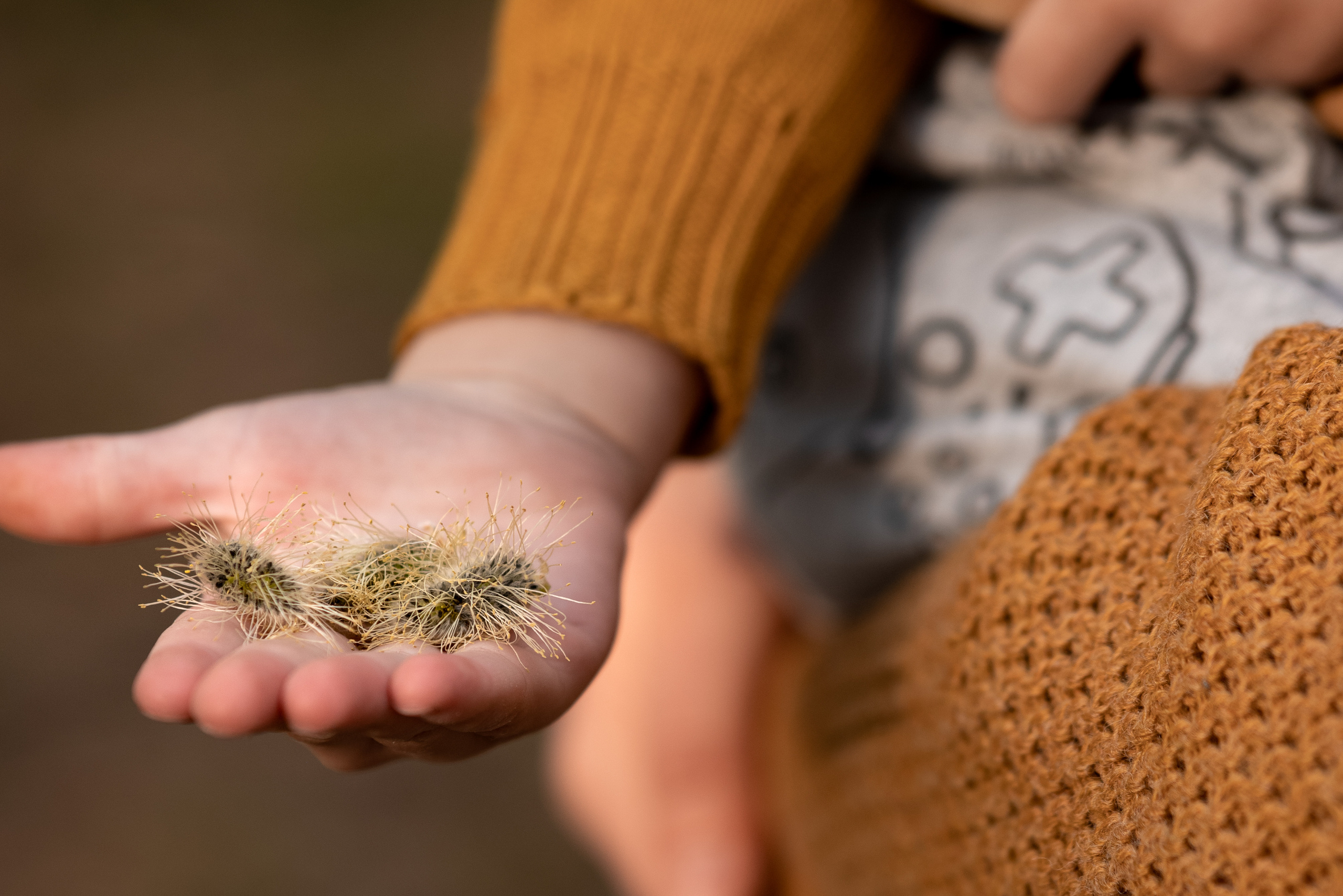 Межсезонье. Выпускные альбомы Москва и МО. Школьный и семейный фотограф