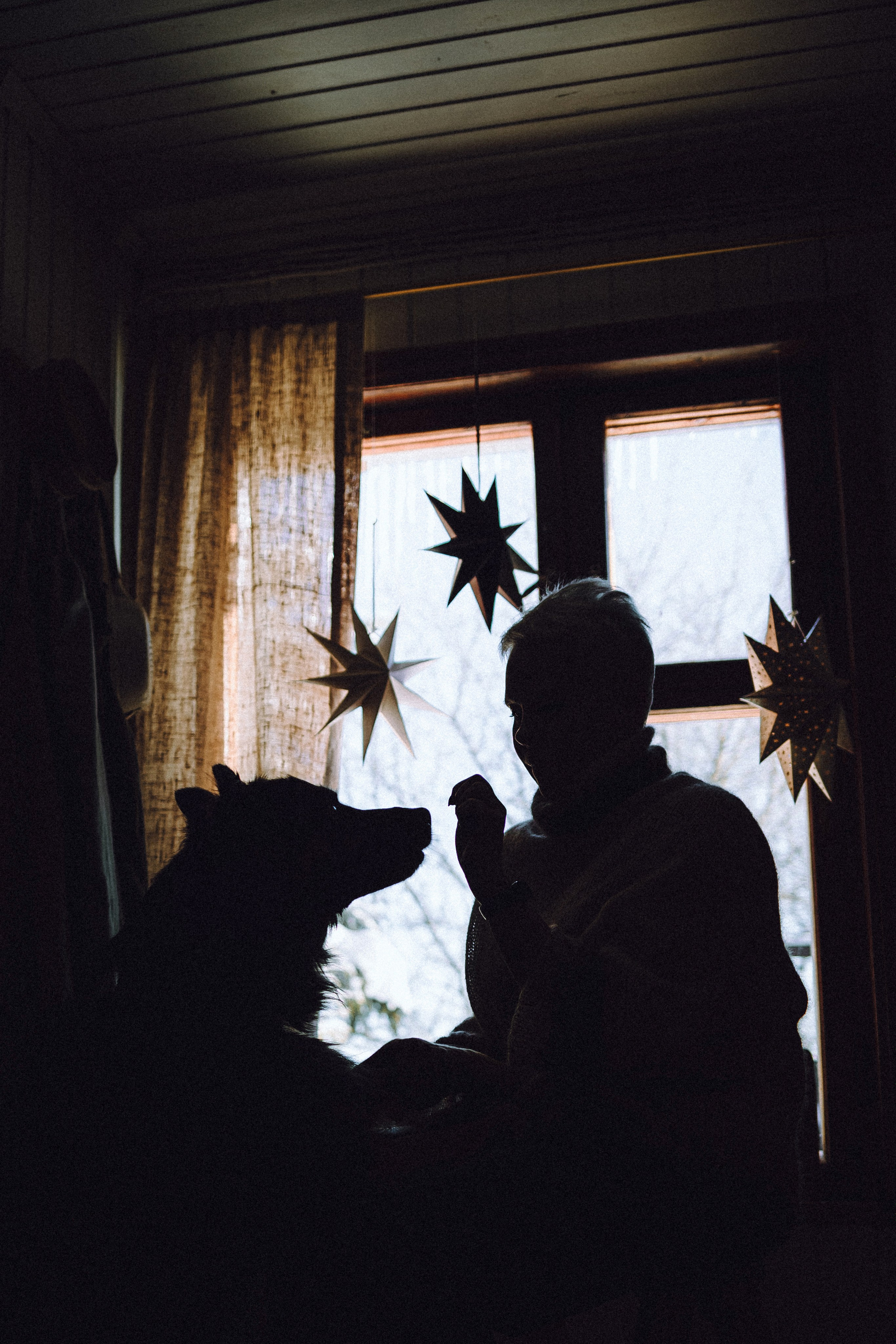 Плюш, Айса и их семья