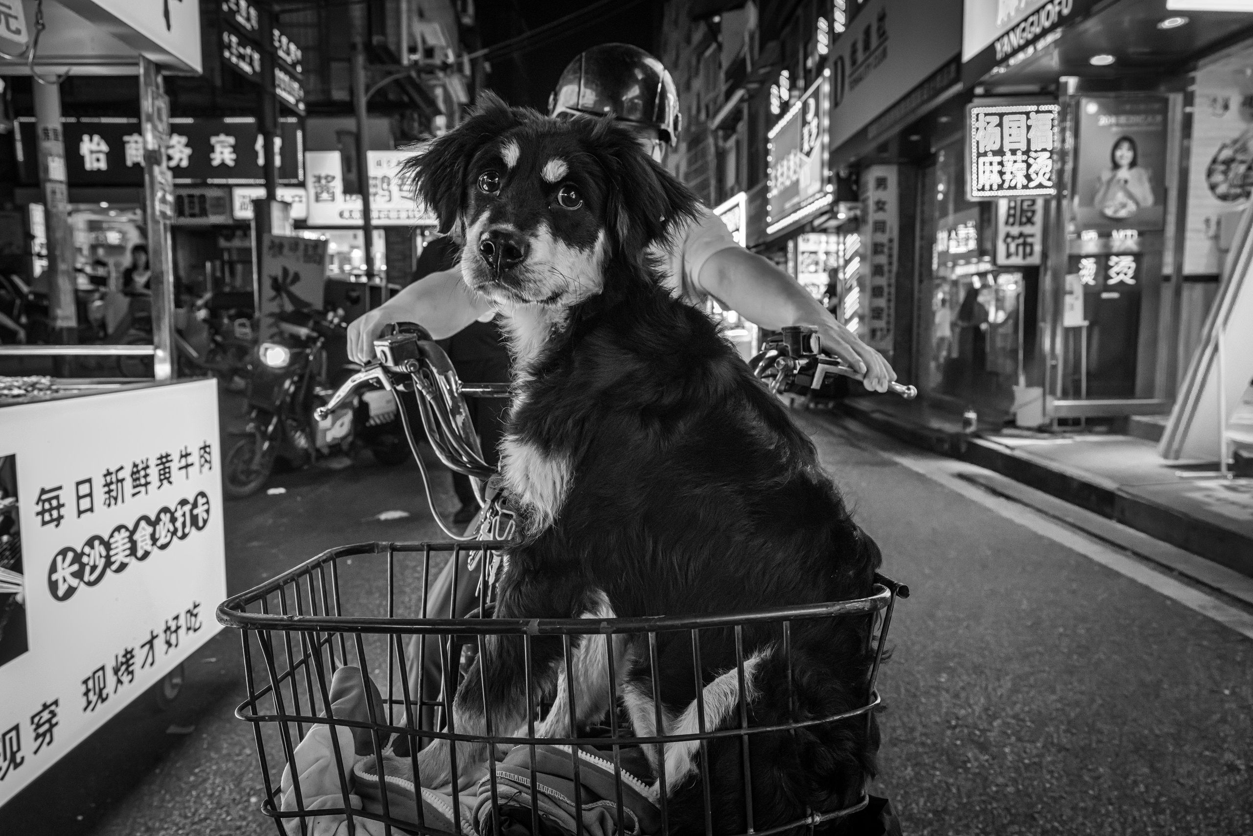 China. Three days — three cities. Beijing, Changsha, Shenzhen, 2024. Dimitri Bakhtadze photographer