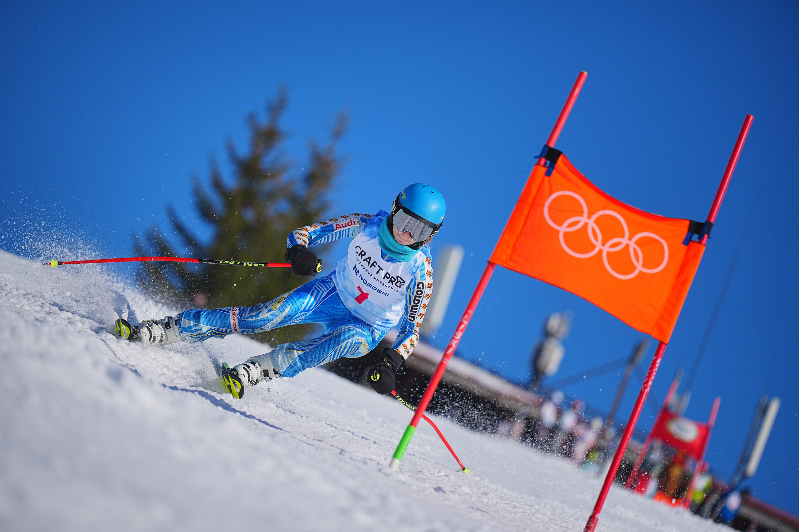 Шуколово. Открытое Первенство МФТИ по горным лыжам. GS, Telemark, 2024. Фотограф Студитский Евгений