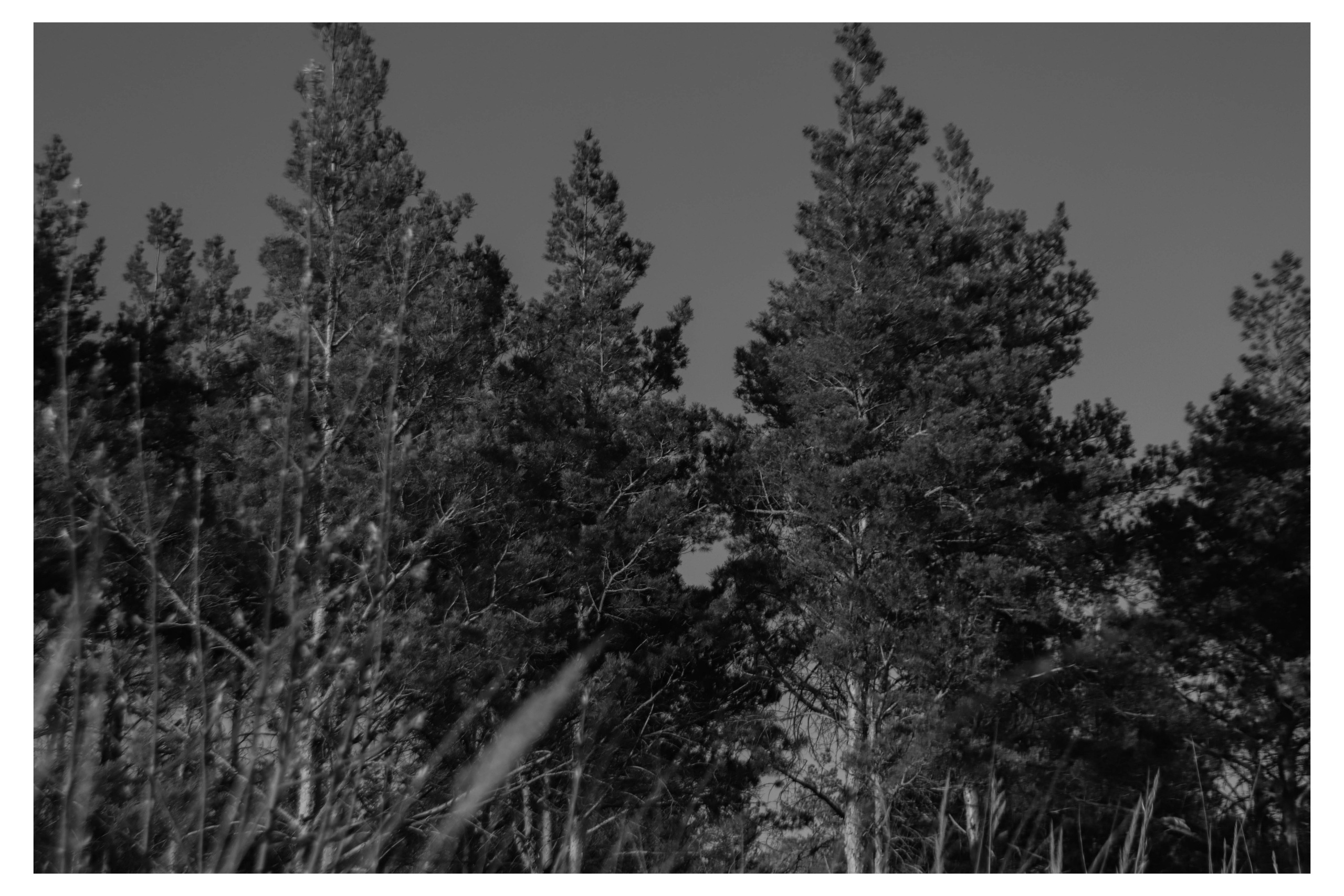 Альметьевск. Фотограф и видеограф в Бугульме Аня Трутнева