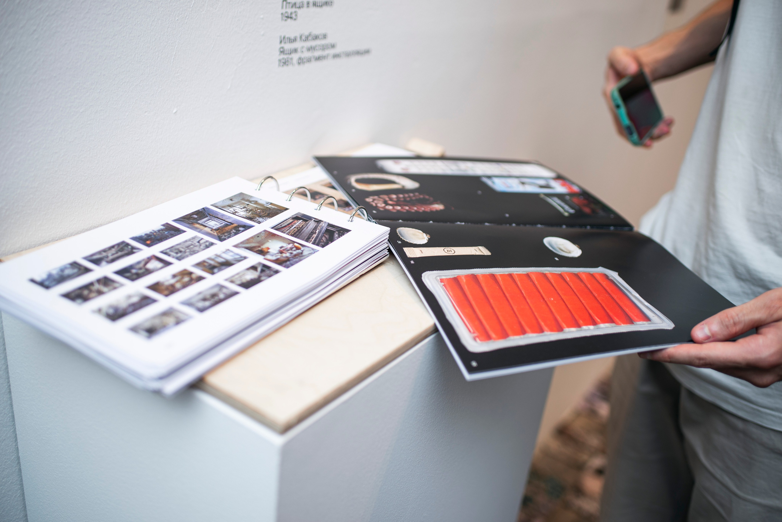 Открытие выставки в ММОМА «Коллекция». Фотограф в Москве Алейникова Евгения