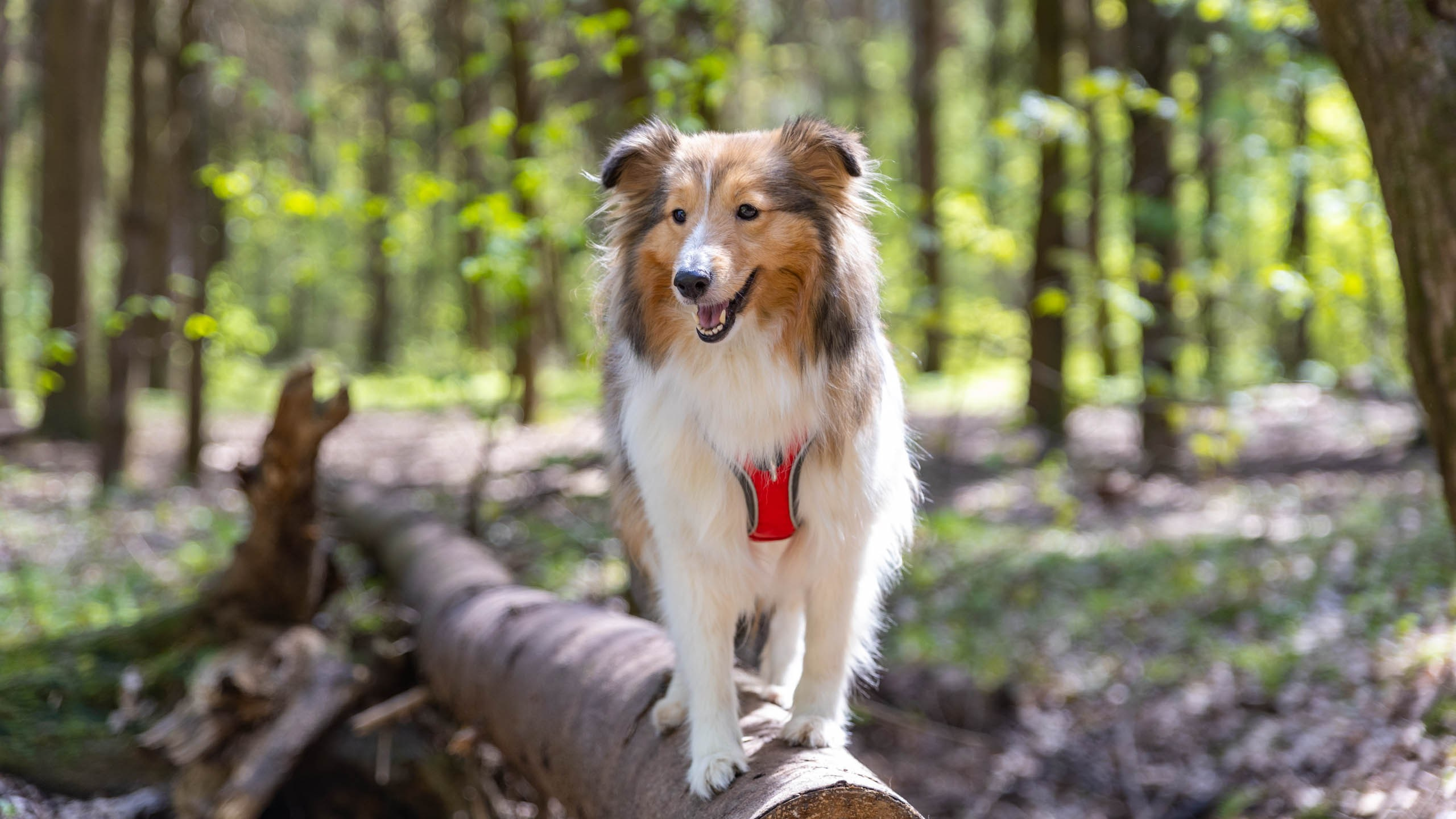 202404 Элис и Лора. Фотографии