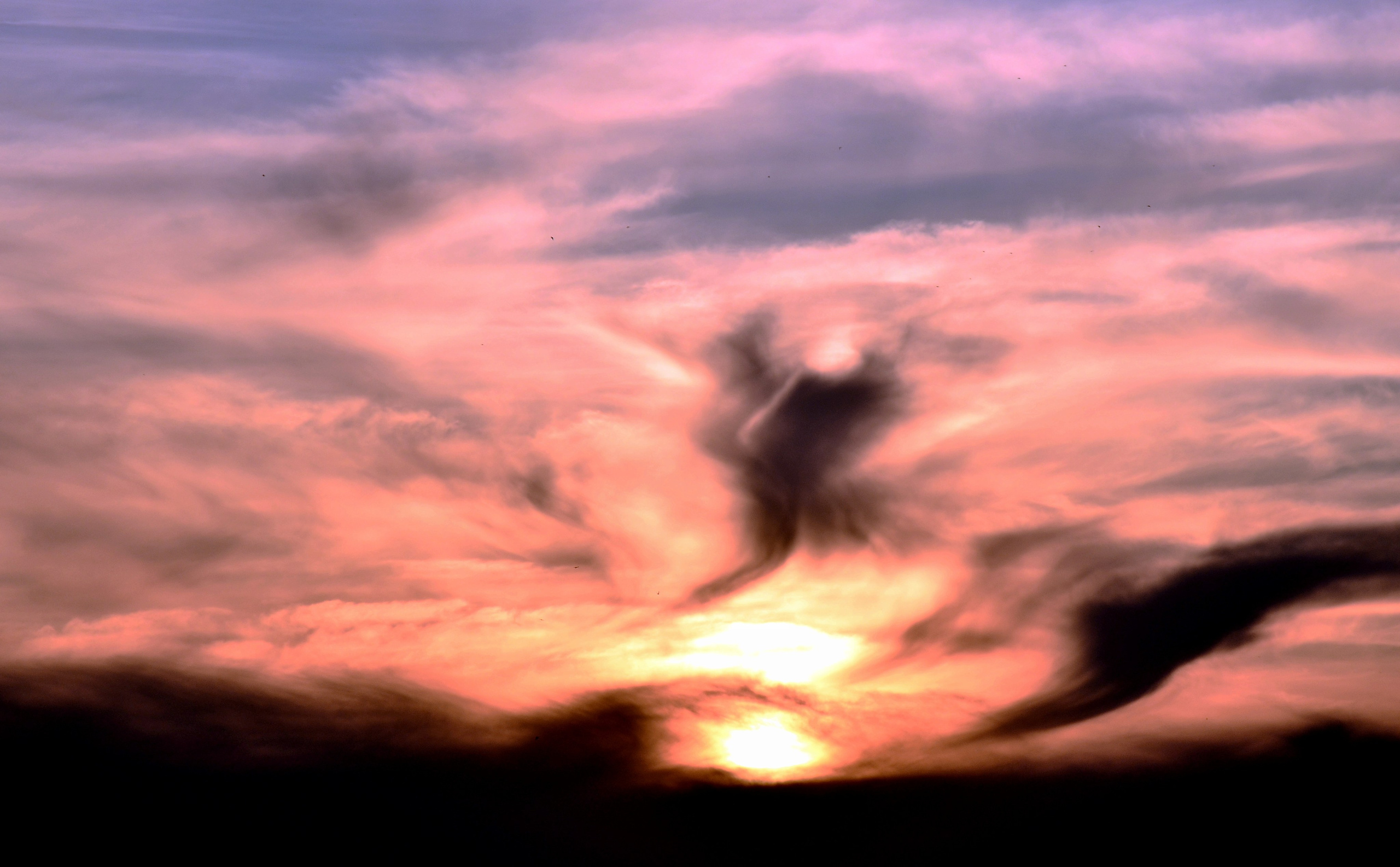 Дары природы. Фотограф viktor viktor