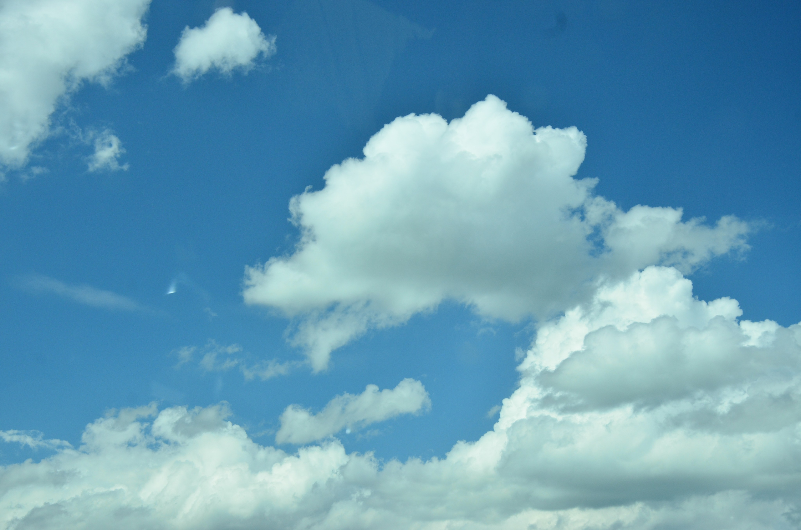 Дары природы. Фотограф viktor viktor