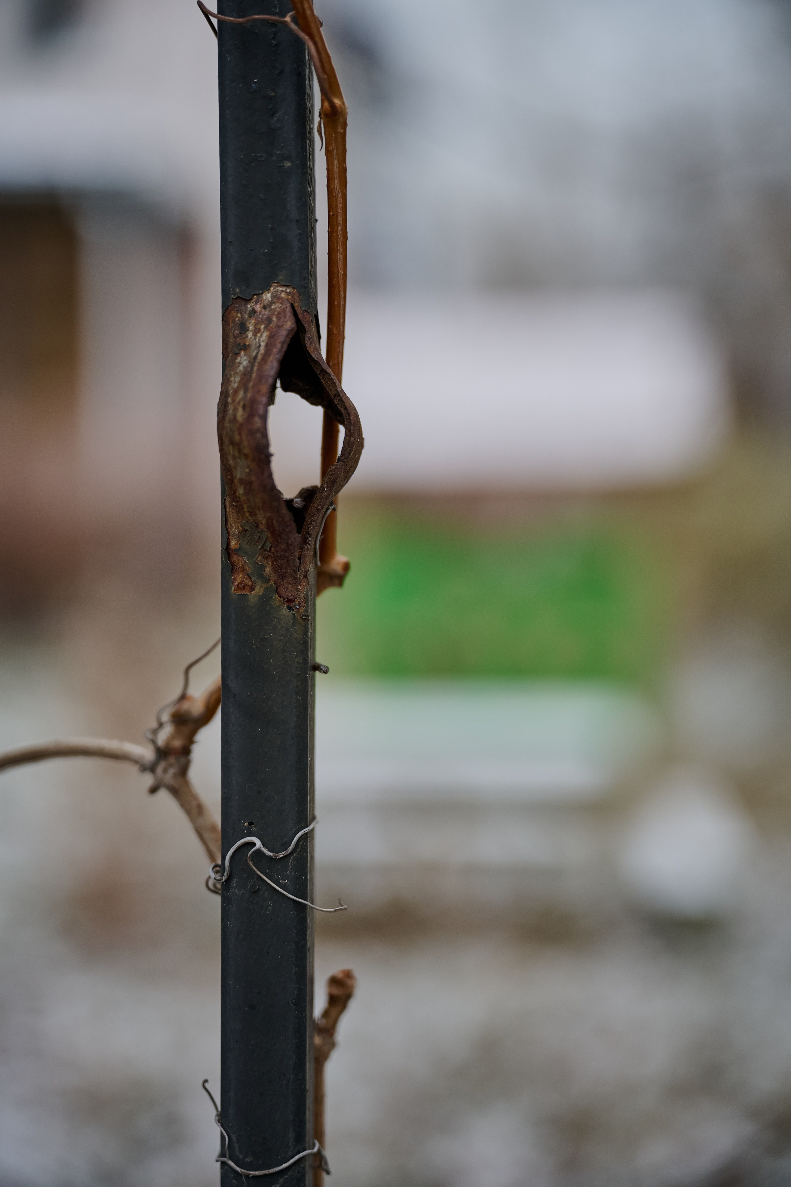 Северодонецк (Луганская область). Декабрь 2024. Фотограф Роман Адлер