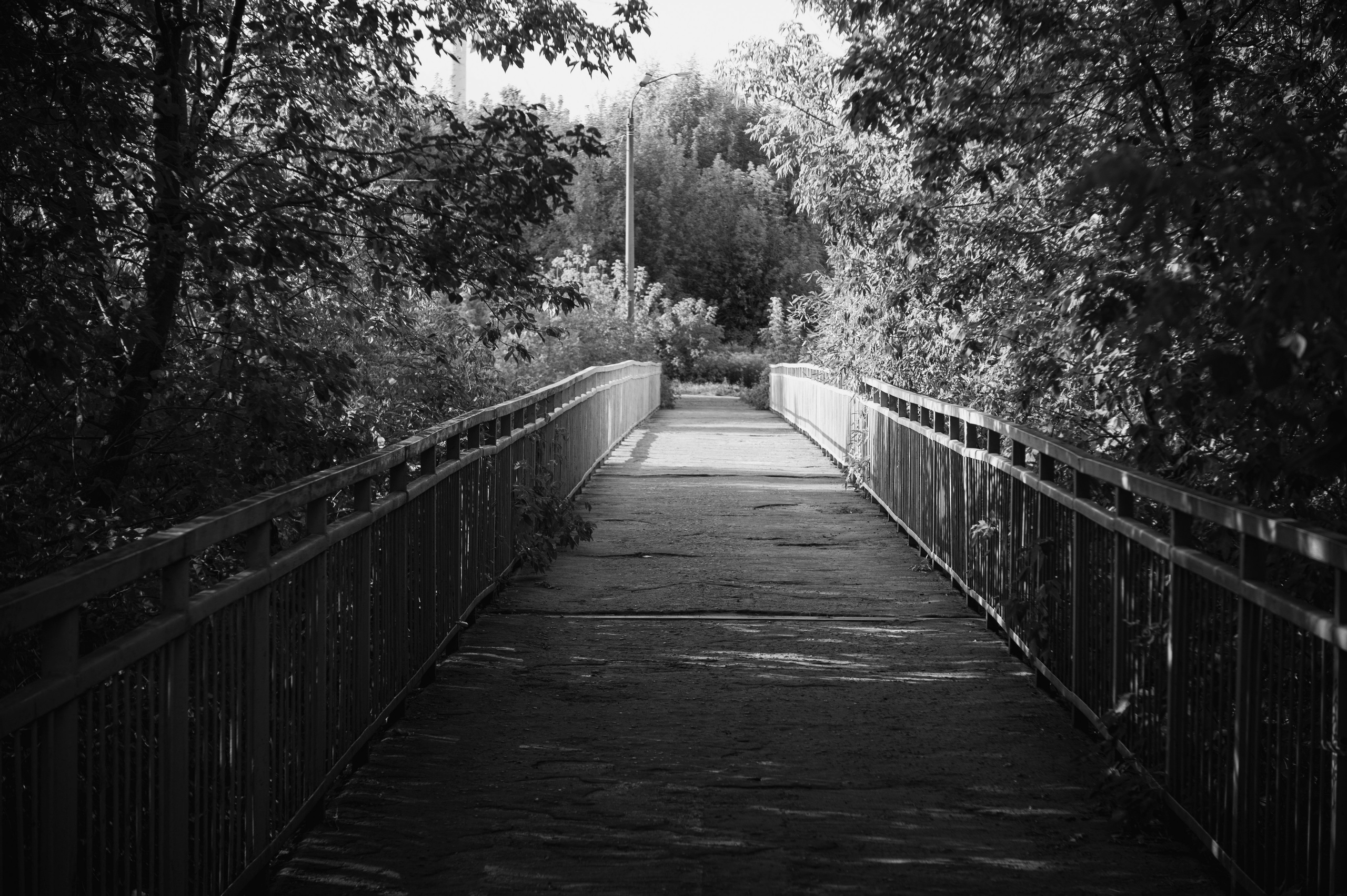 Муром. Сентябрь 2022. Фотограф Роман Адлер