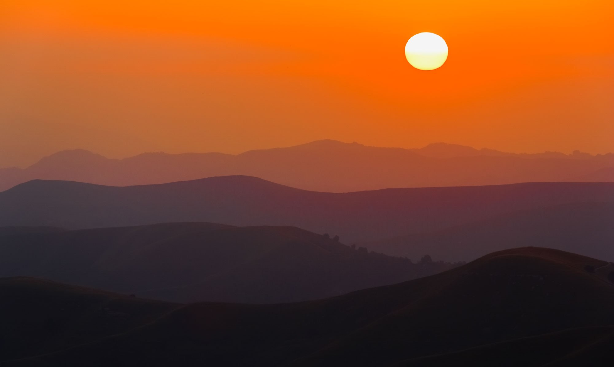 Свадебный фотограф в Геленджике