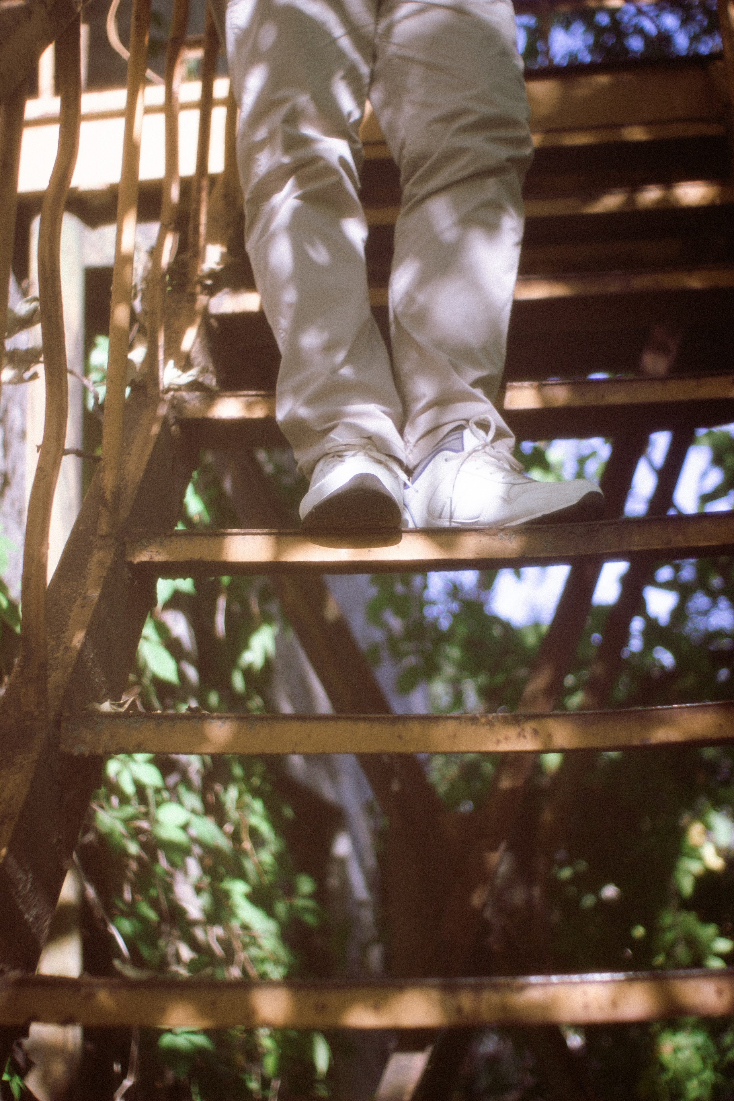 Лучи воспоминаний. • Фотограф Александра Светозар Алчевск •