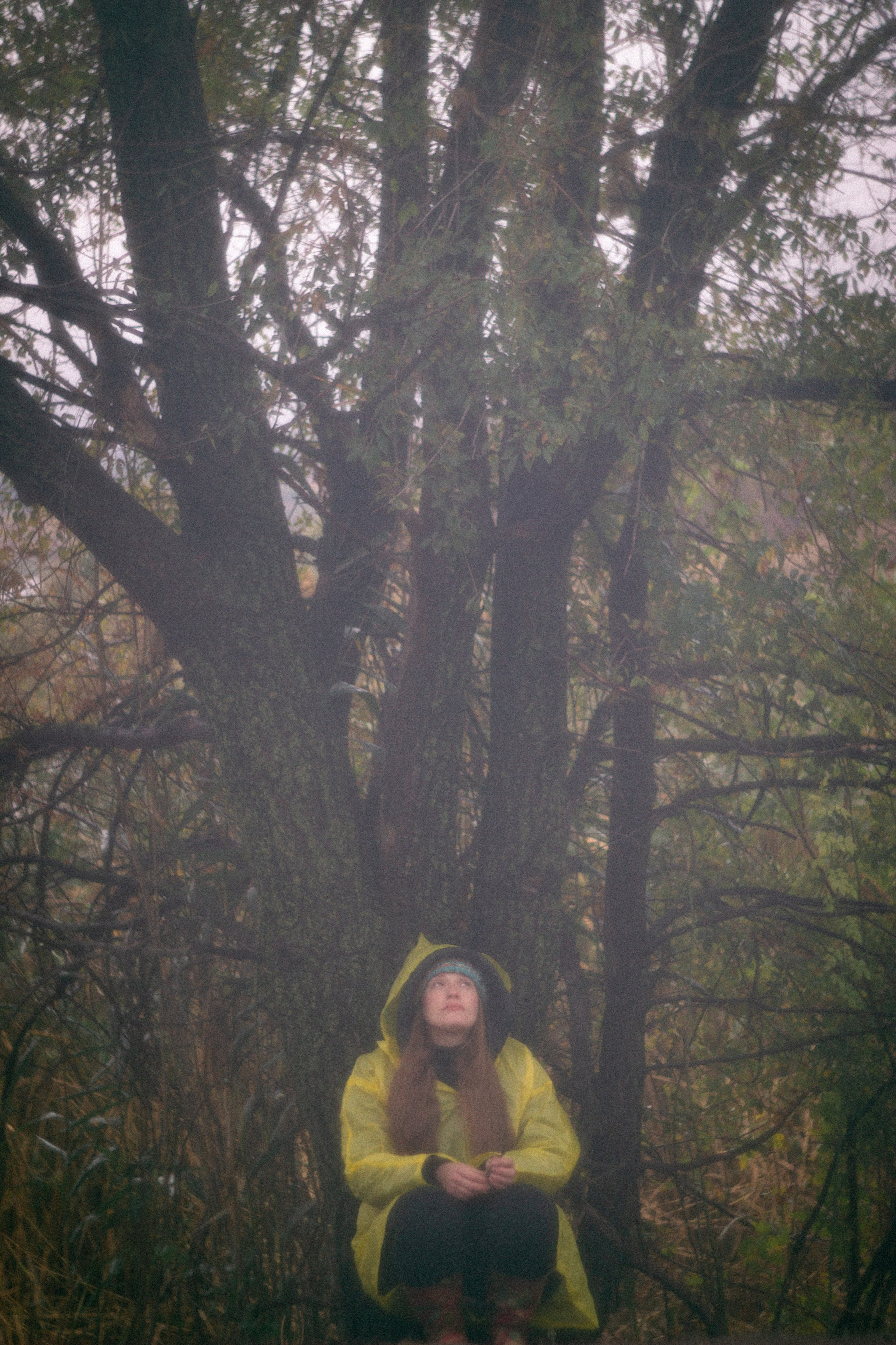 Туманная осень. • Фотограф Александра Светозар Алчевск •