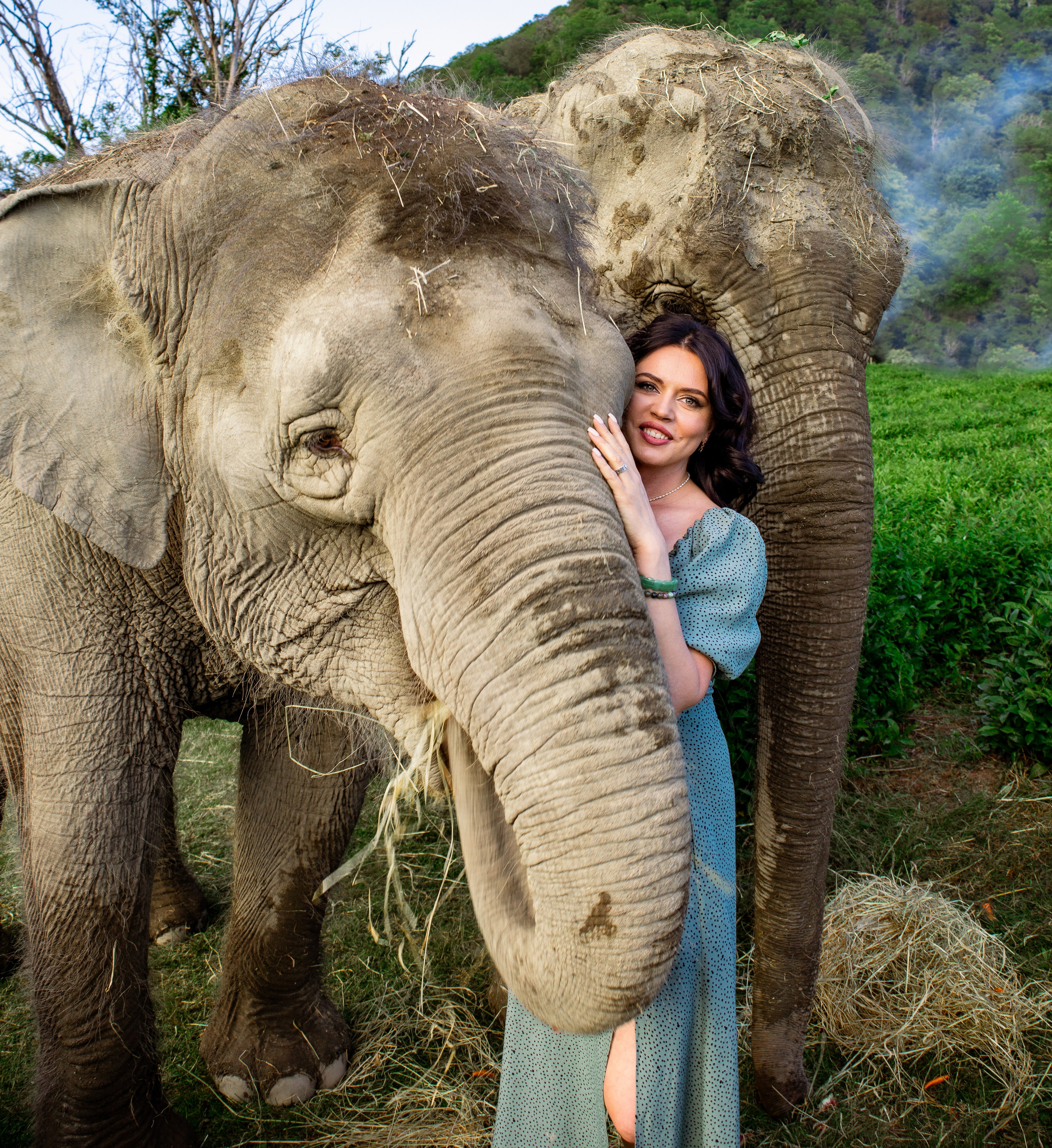 Слоны. Семейный и Свадебный фотограф в Сочи