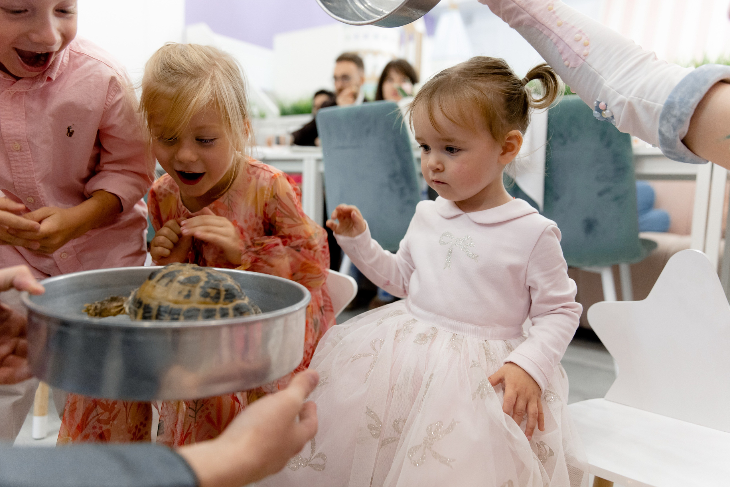 Стефания 2 года. Фотограф Роман Полянин