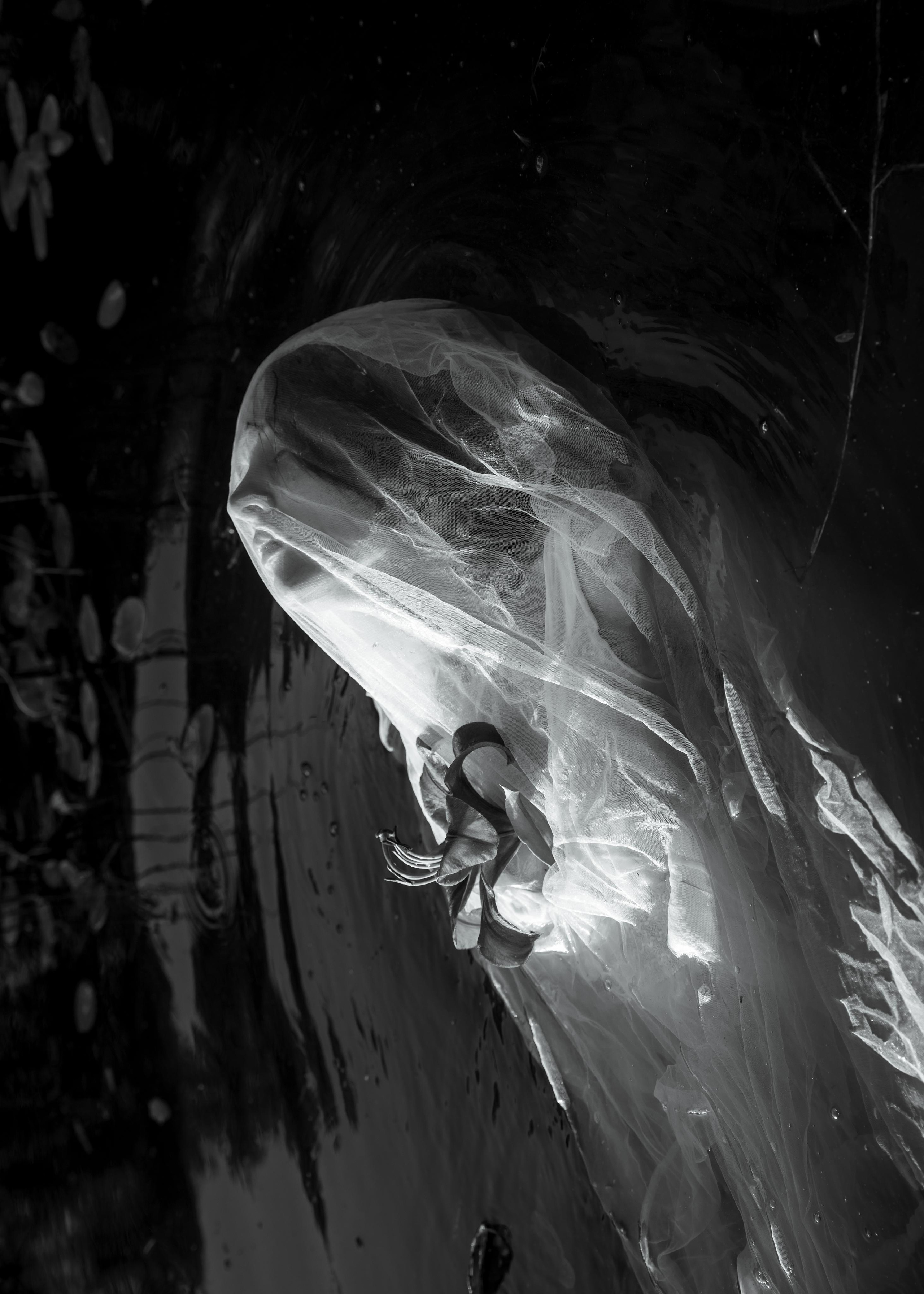 Русалки. Фотограф в Москве Лера Юдина