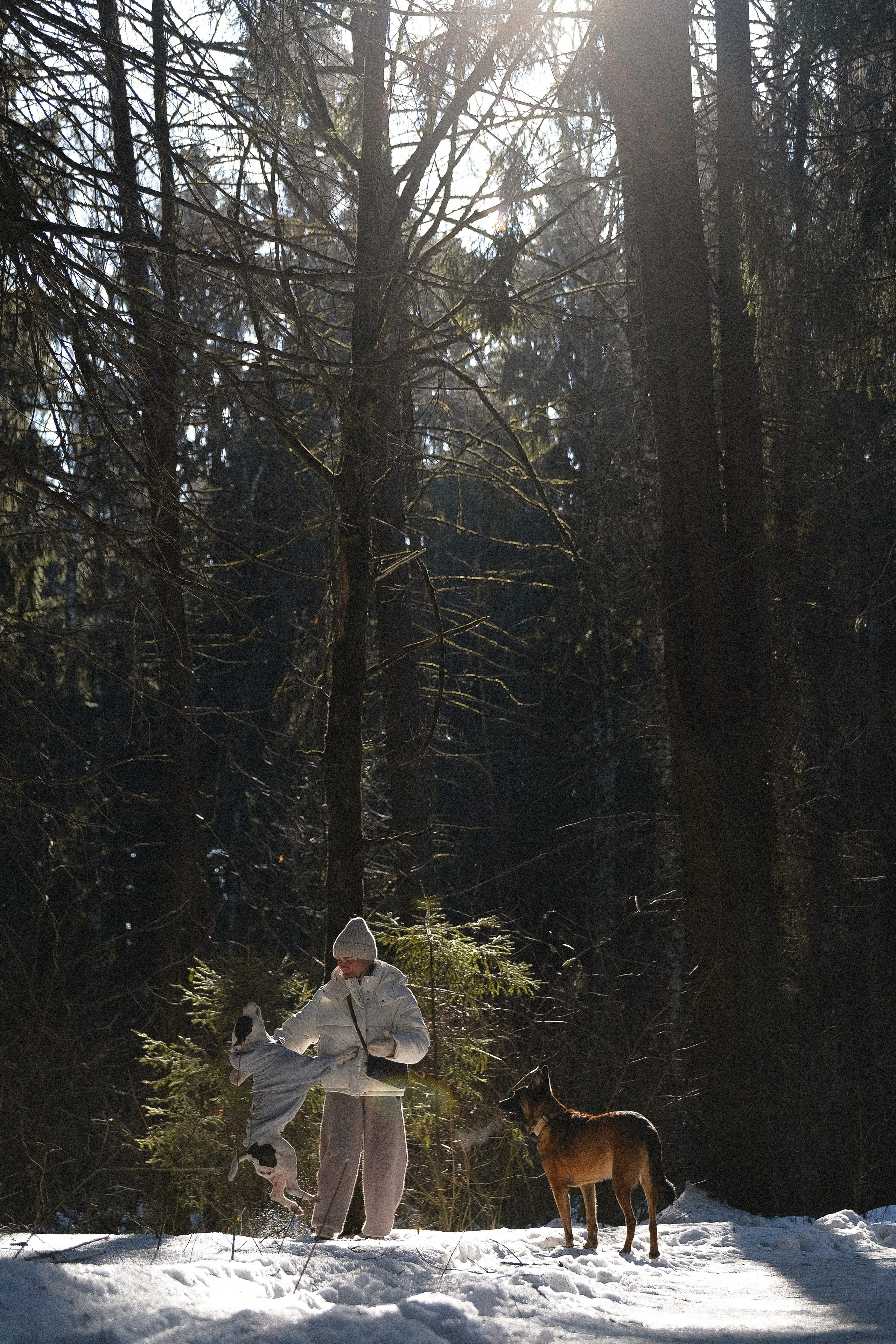 Женя, Афра и Молли. Фотограф и видеограф анималист Аганина Дарья