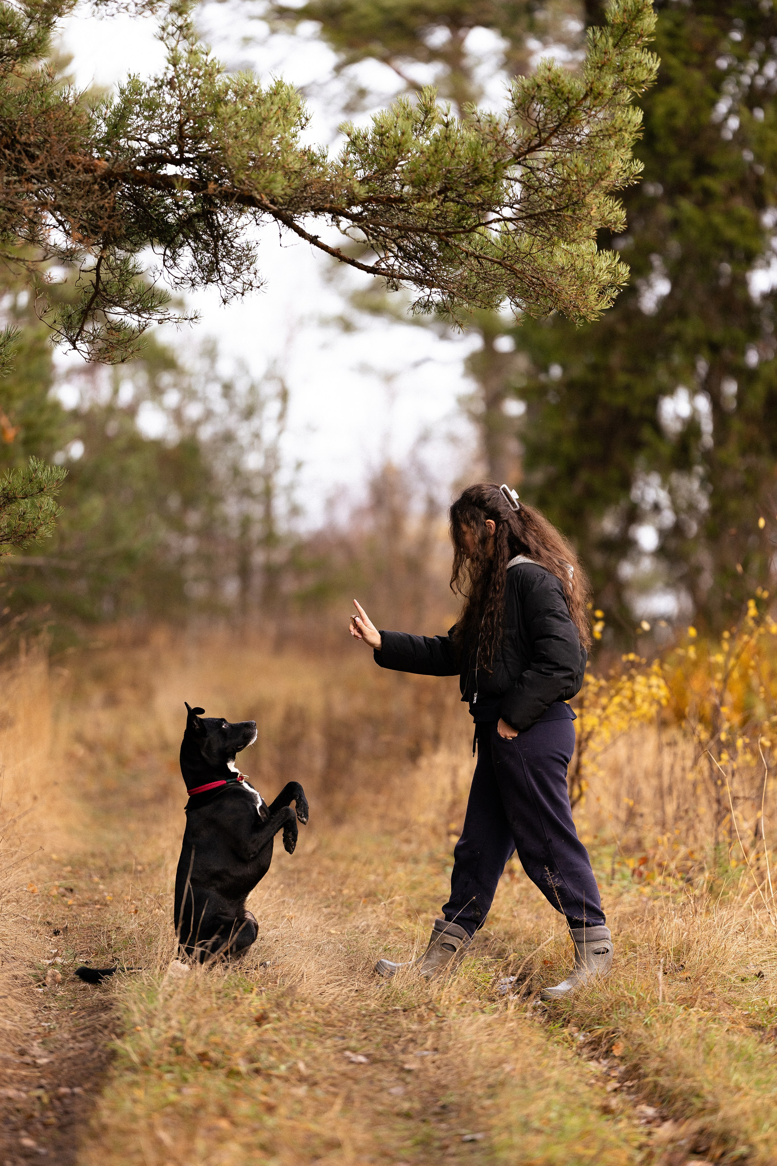 Karelia. Фотограф и видеограф анималист Аганина Дарья