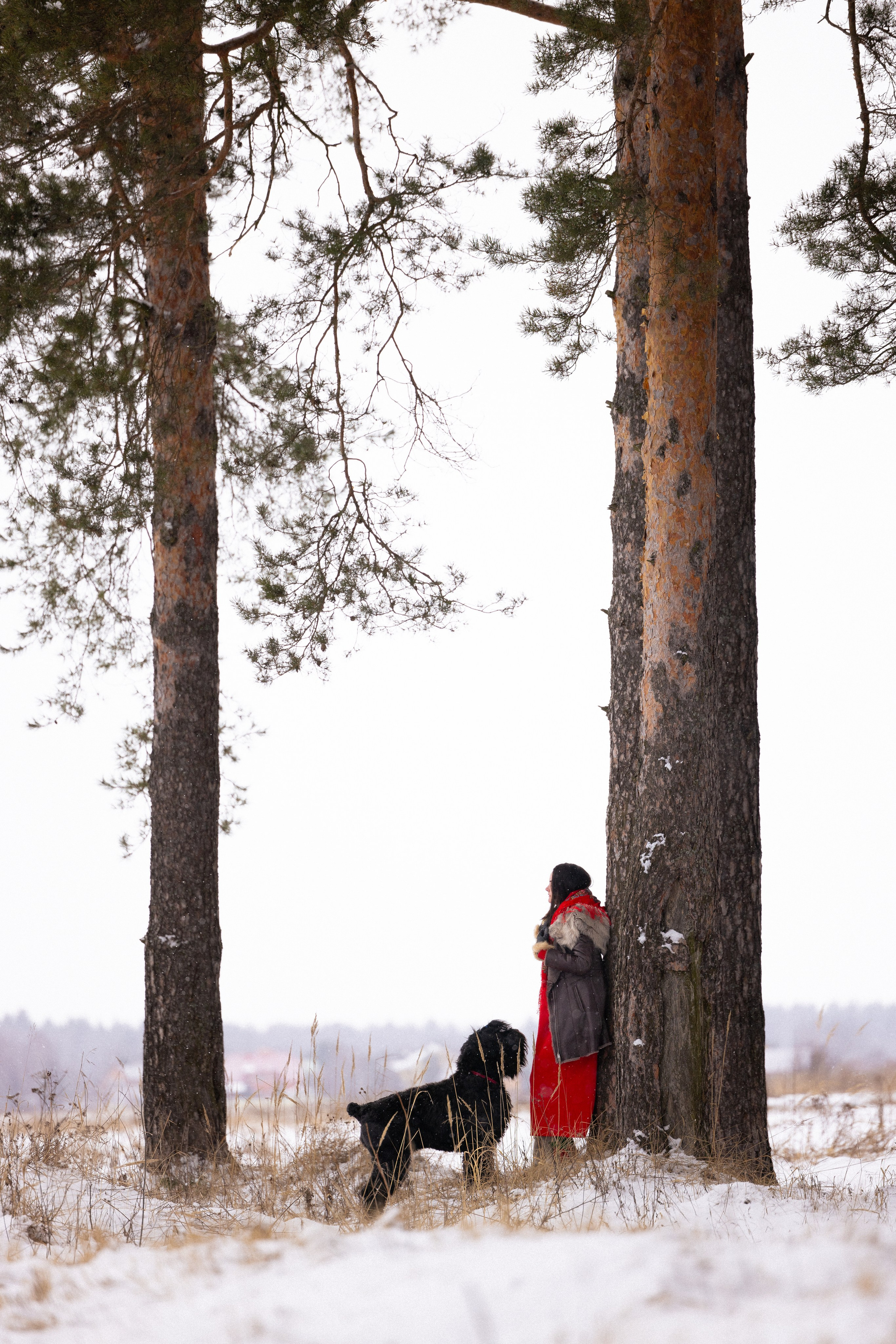 Анастасия и Ирга. Фотограф и видеограф анималист Аганина Дарья