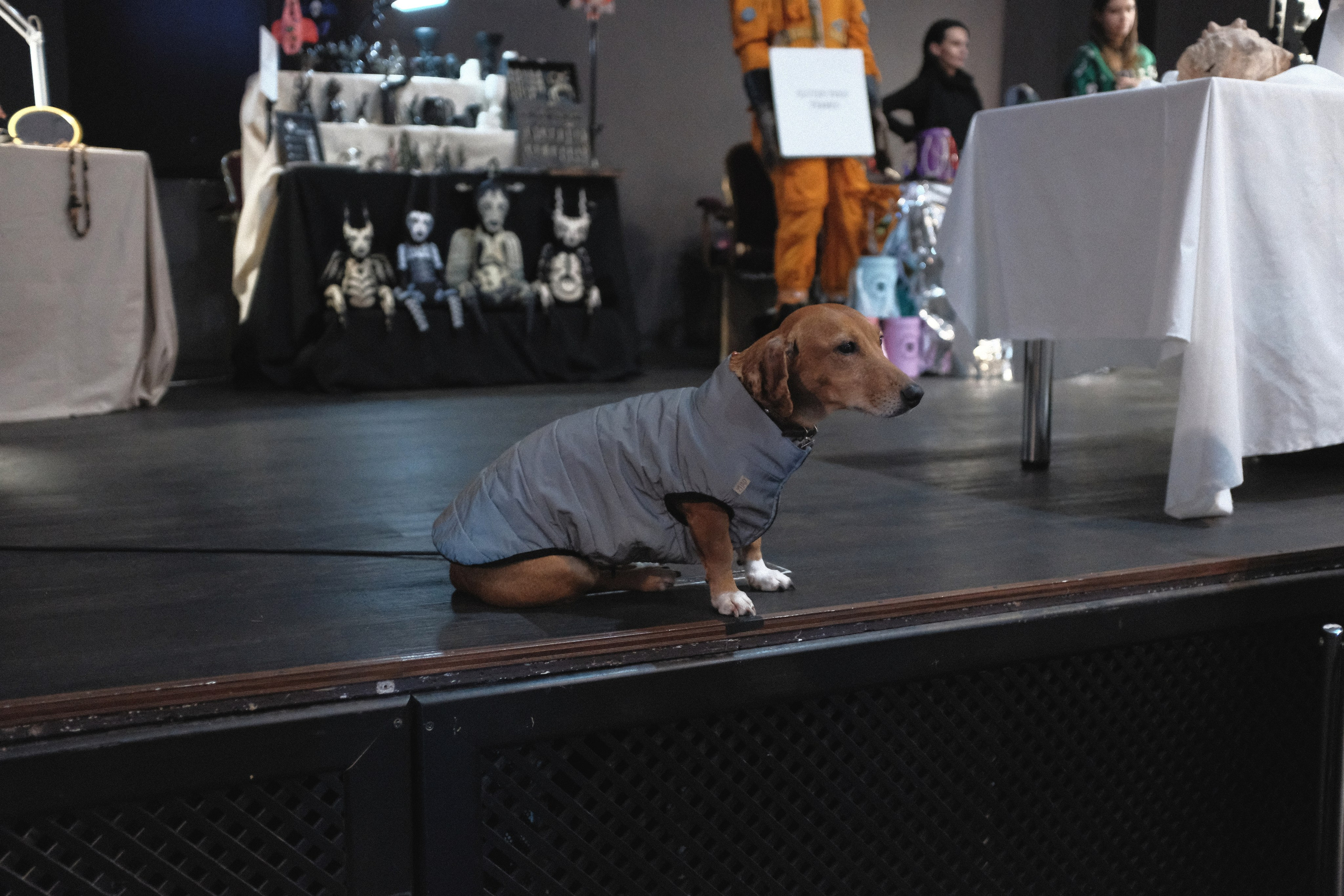 Abracadabra / фестиваль концептуальной моды. Репортажный фотограф в Санкт-Петербурге Даниил Могута