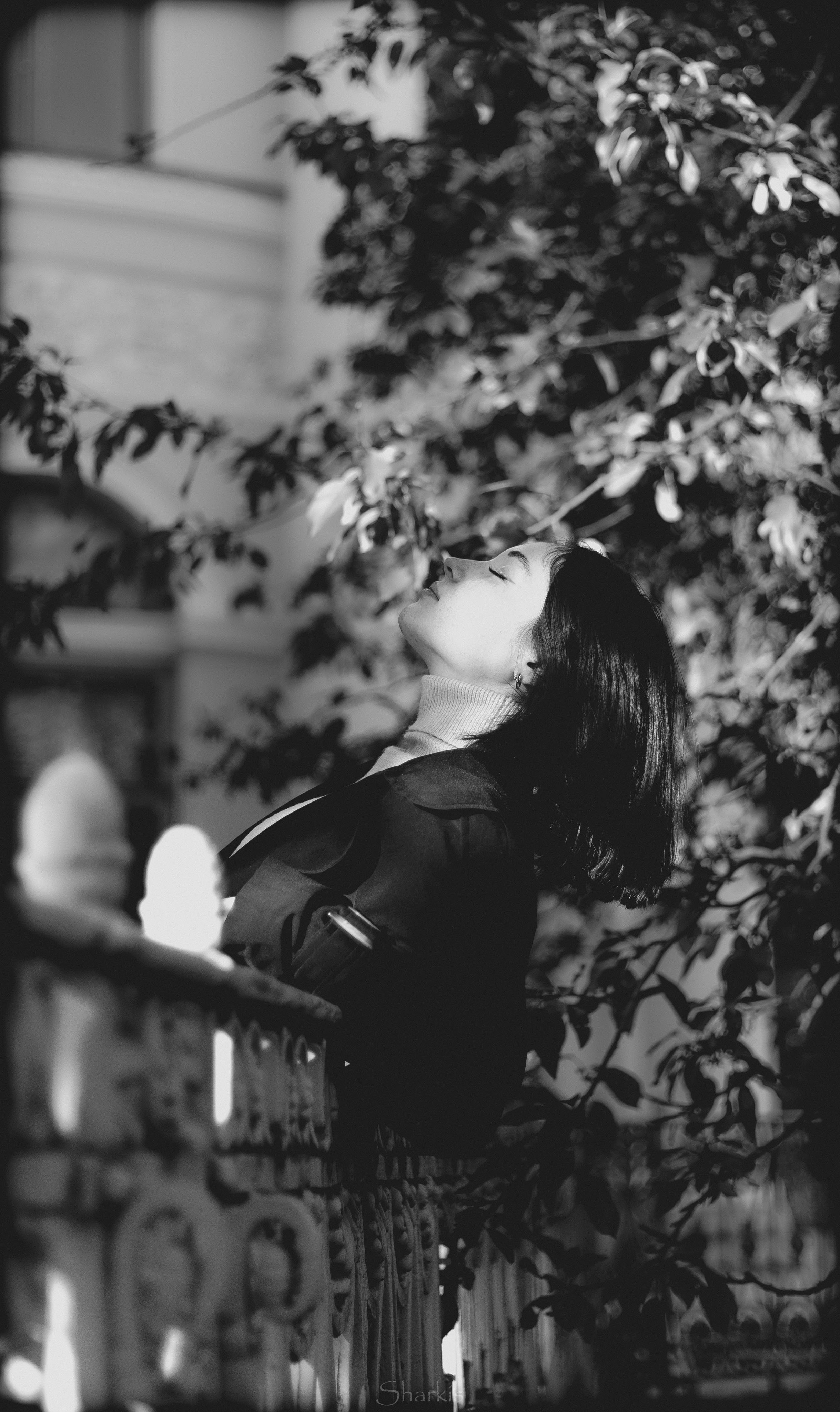 Света. Главная