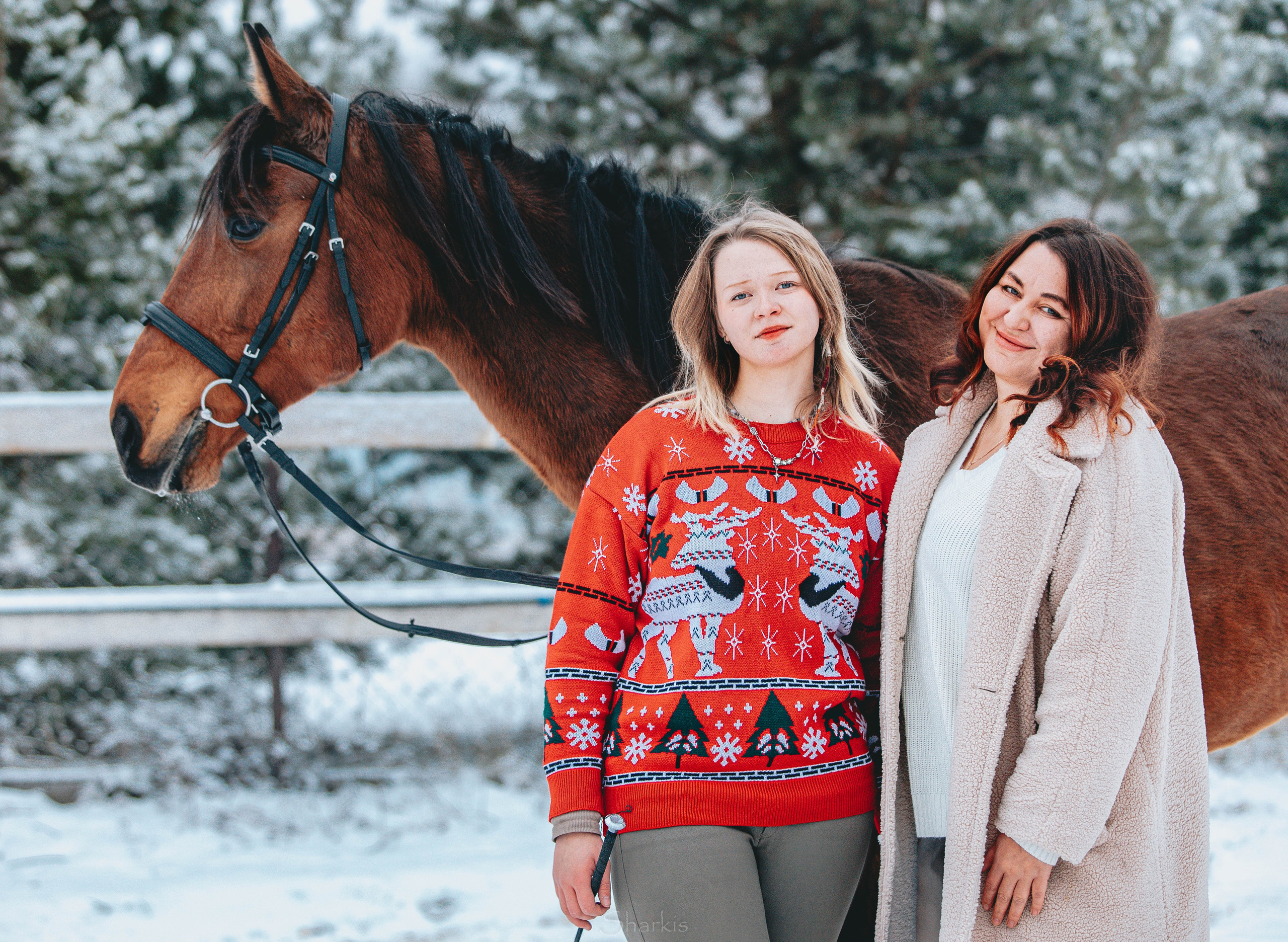Фото день в ЧК «Орлёнок» — Новый год. Главная