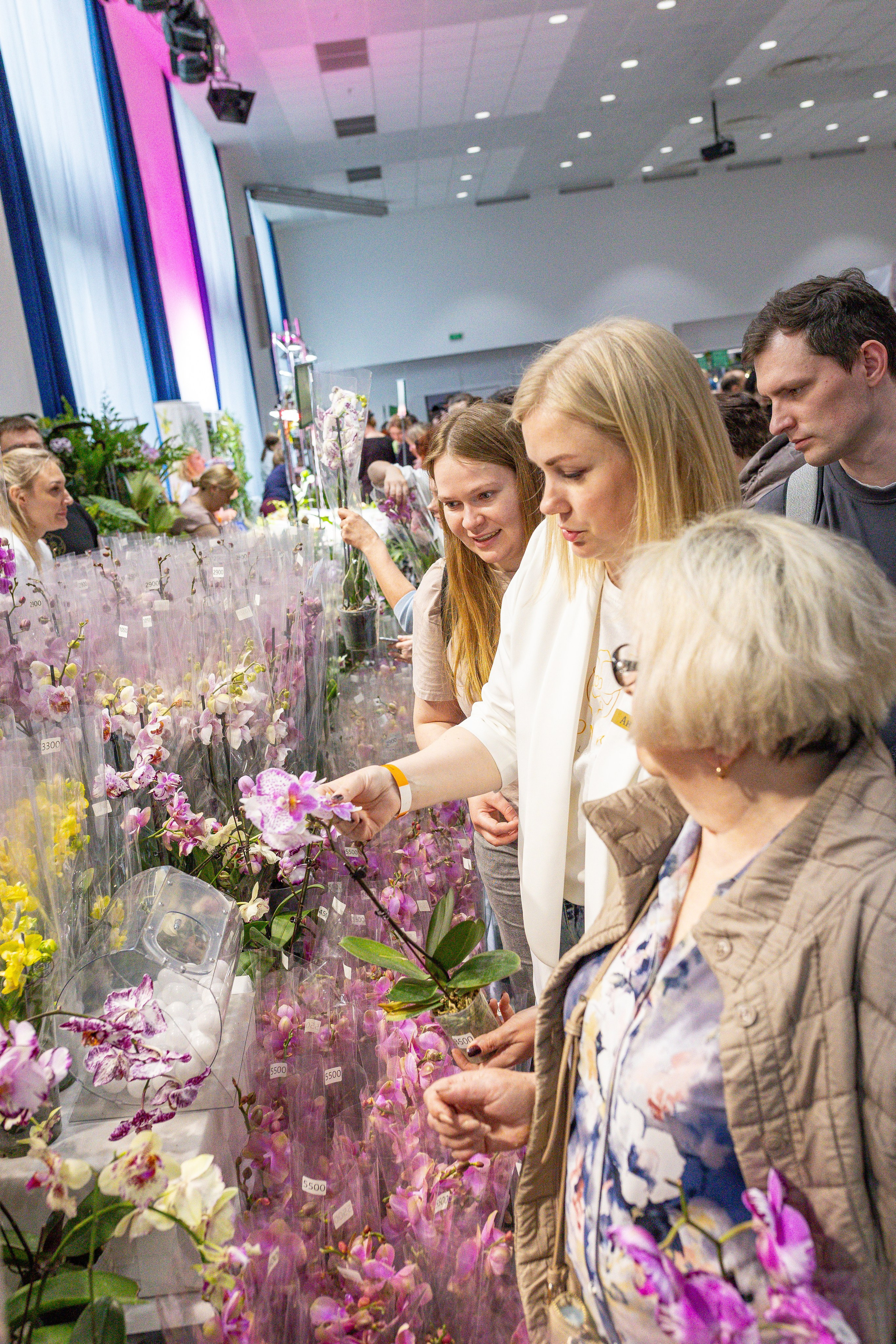 Орхидиум май 2025. Александра Куликова фотограф, Москва