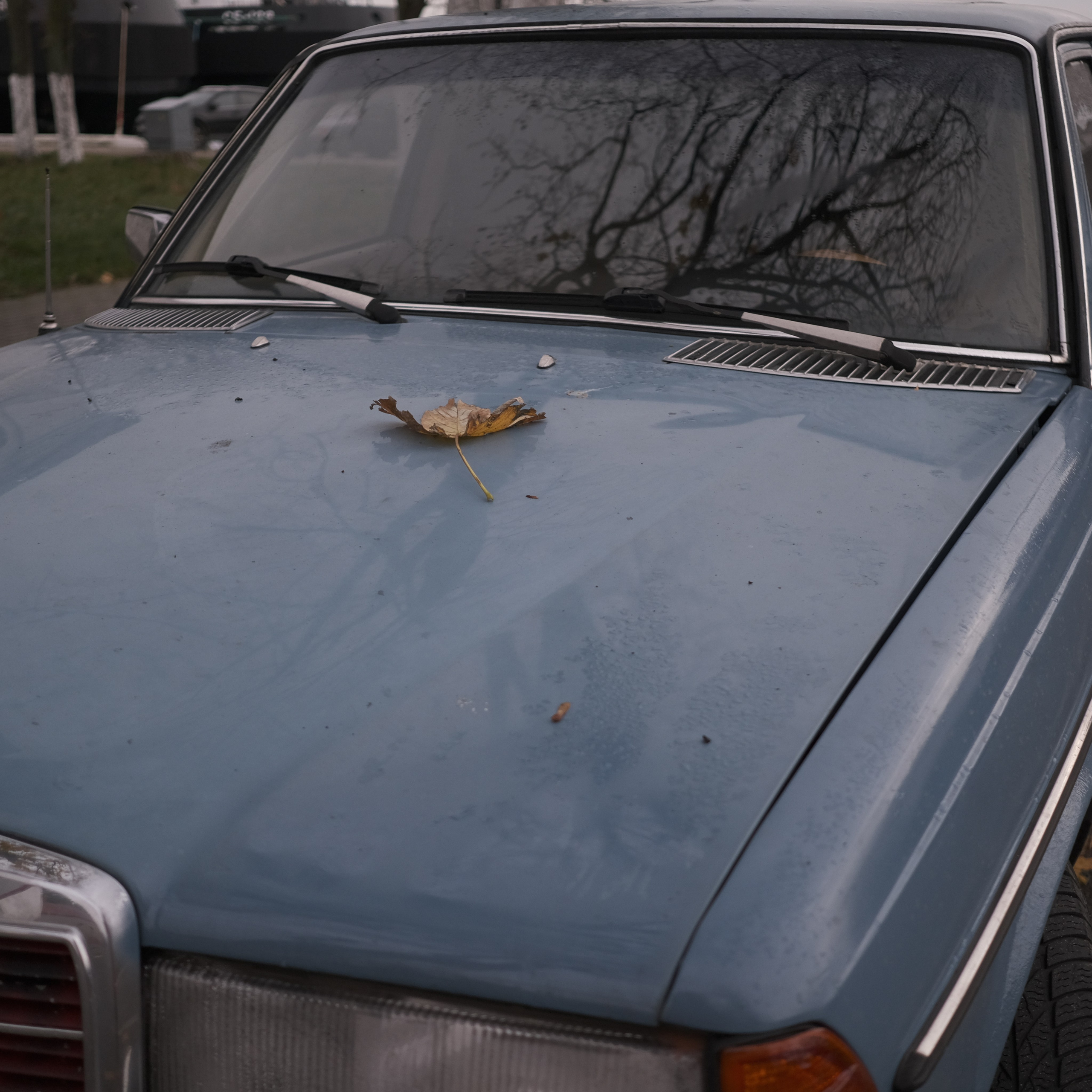 Калининград. LIYALEE PHOTO